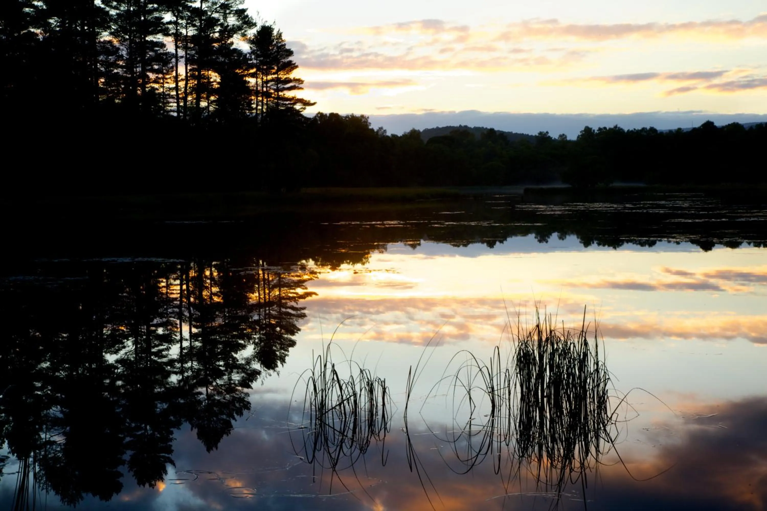 Area and facilities in Loch Kinord Hotel