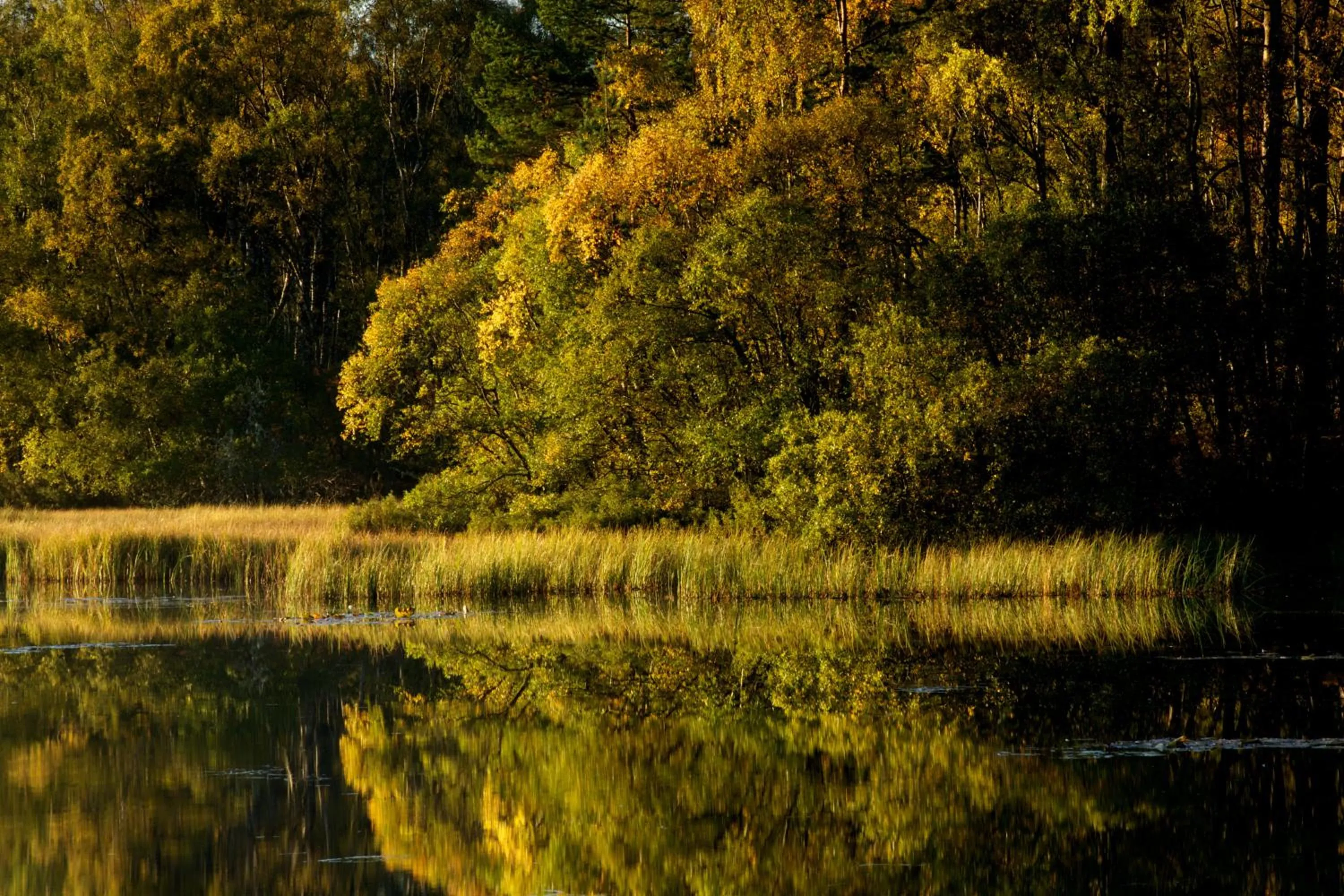 Area and facilities in Loch Kinord Hotel