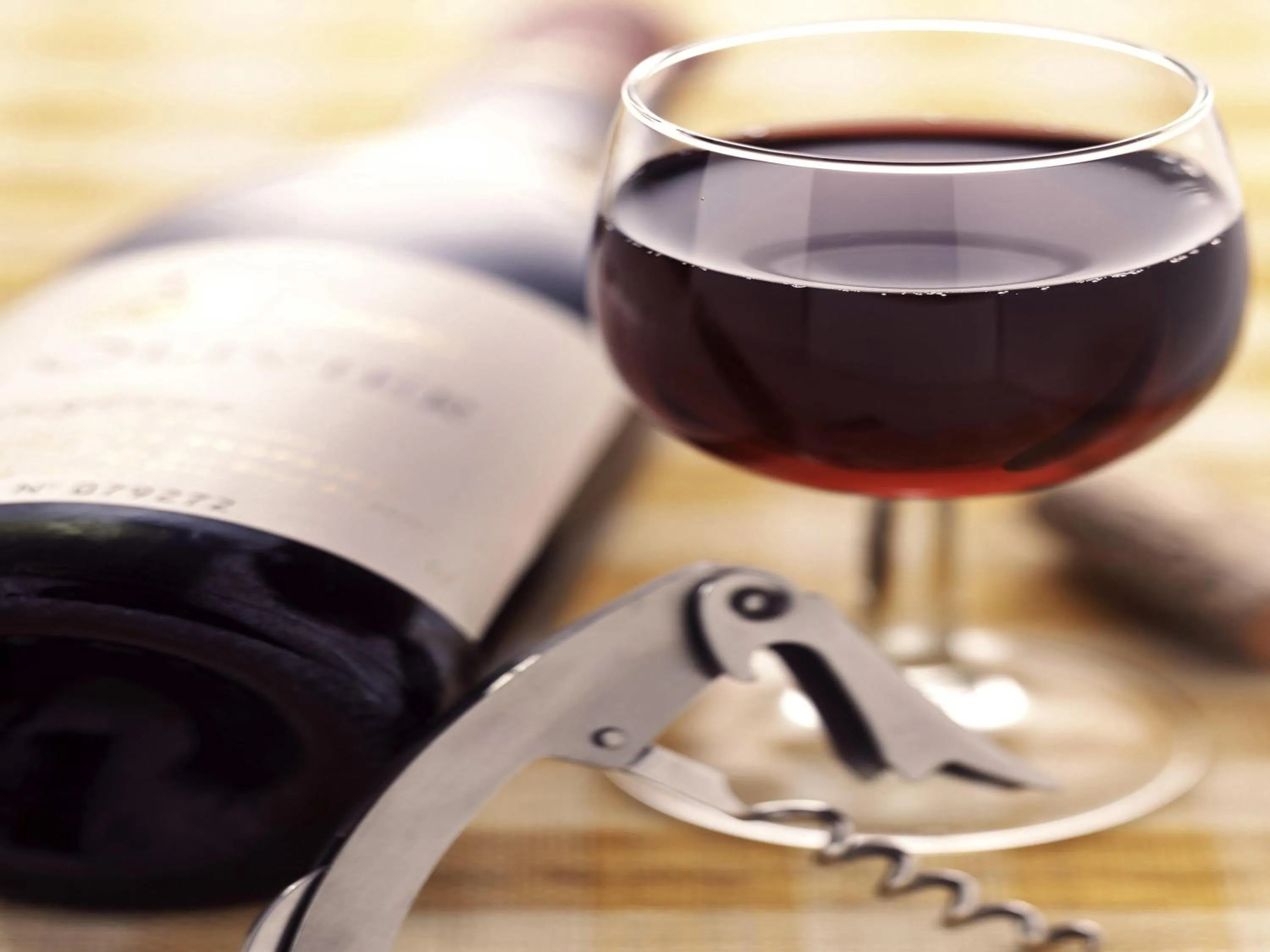 Lounge or bar in Ibis Bata