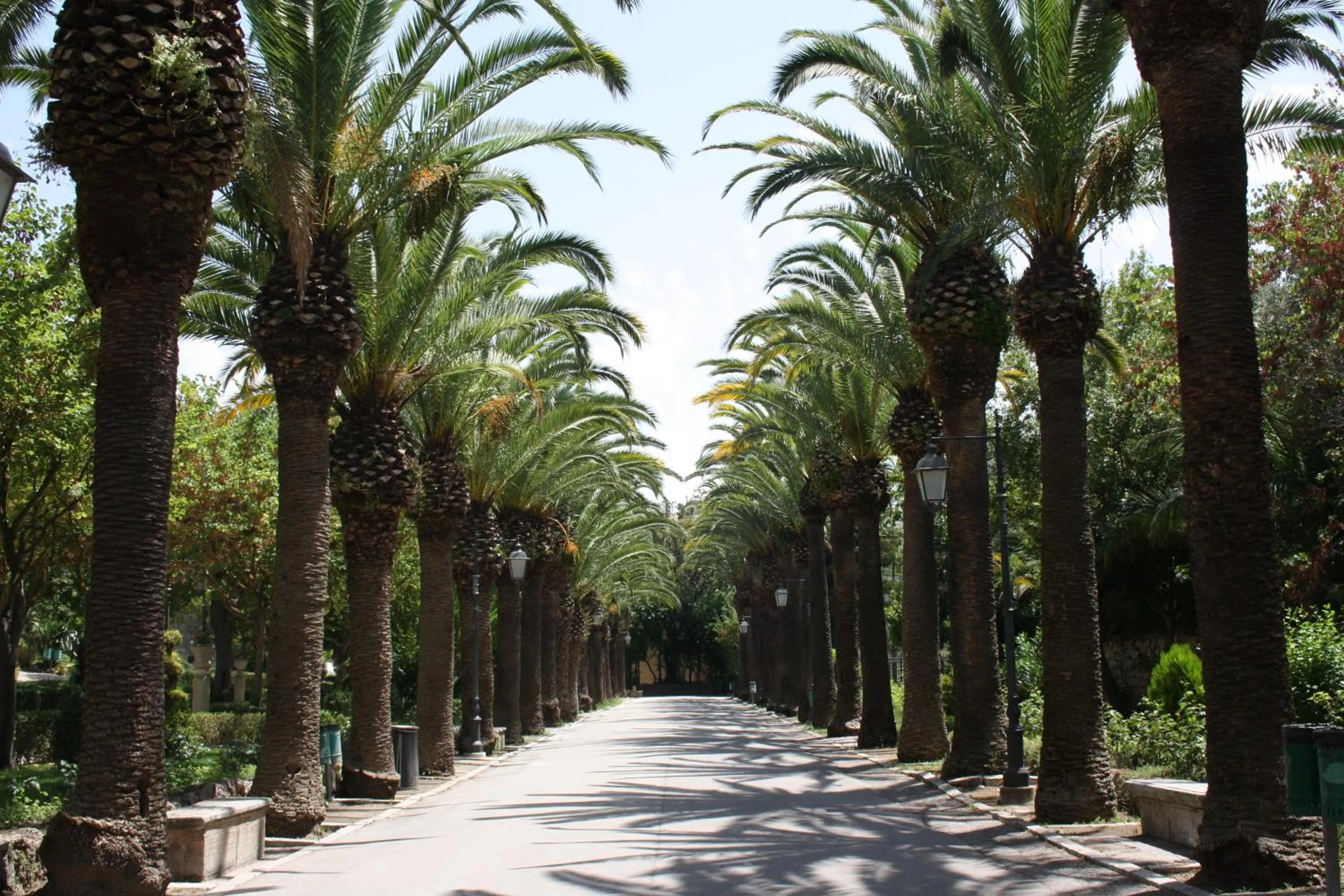 Text overlay in La Chiave di Volta