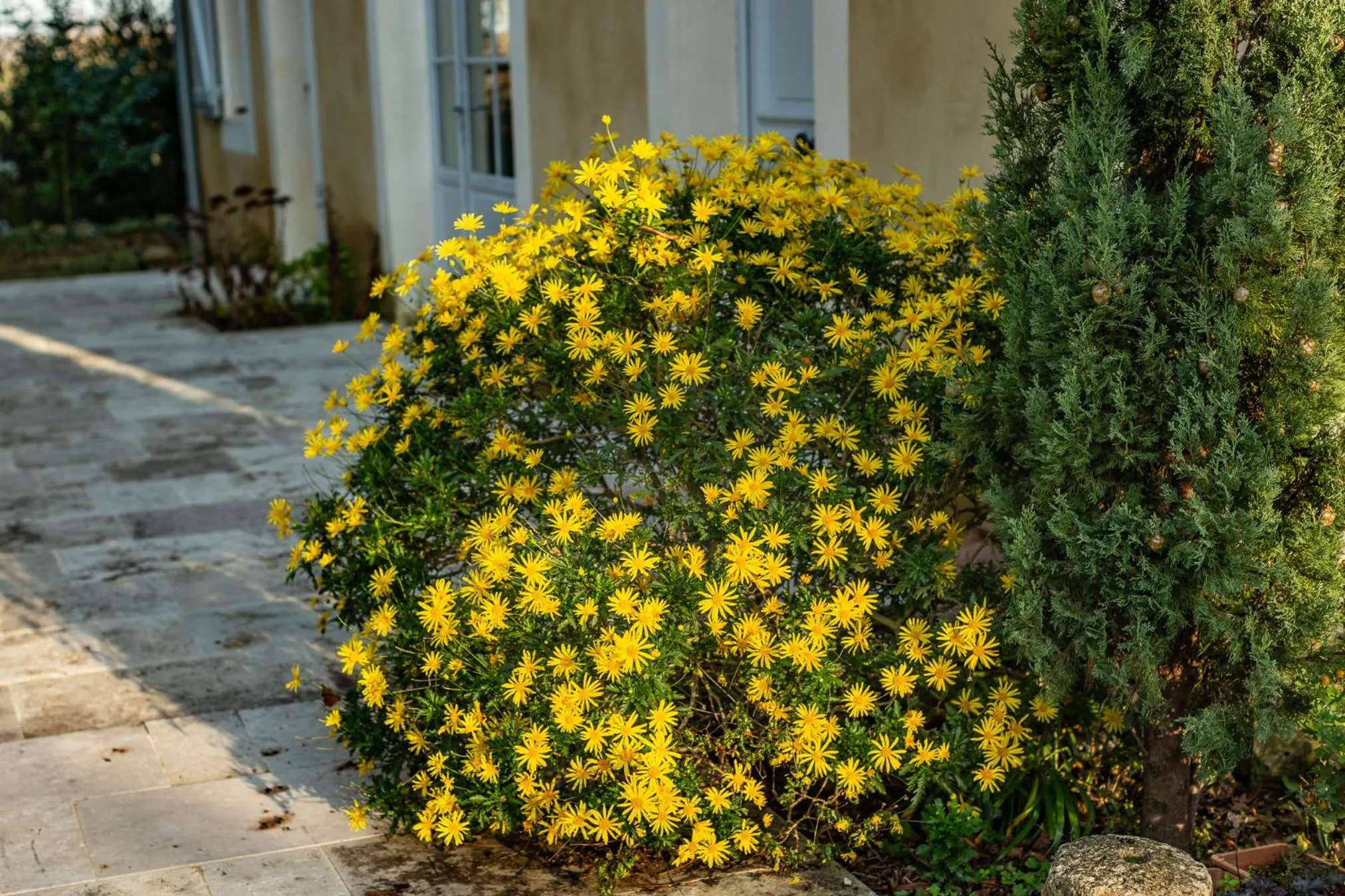 Garden in Le Castel Pierre - 7ch&7sdb avec clim, piscine XL, salle fitness et sauna pour 18 personnes