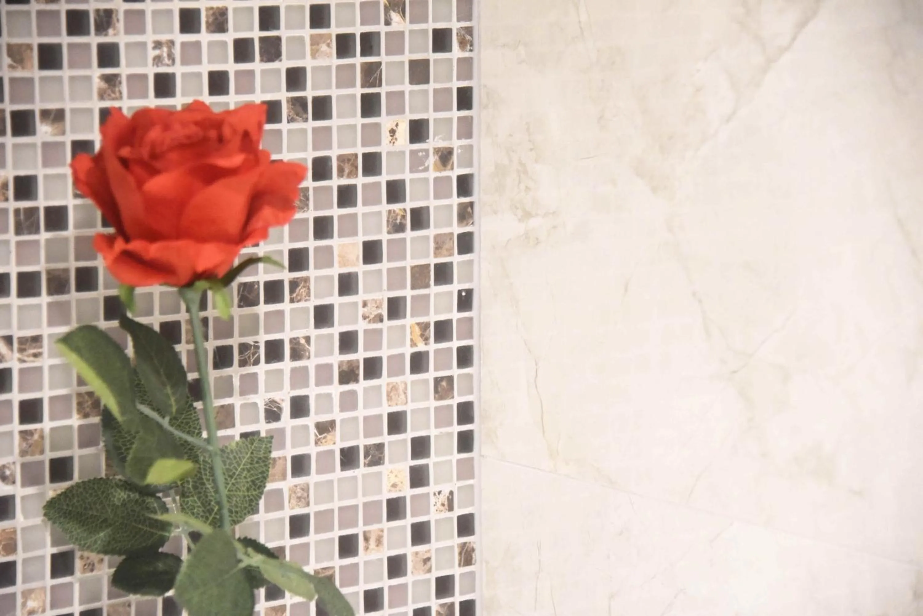 Bath in Newlands Court Motel