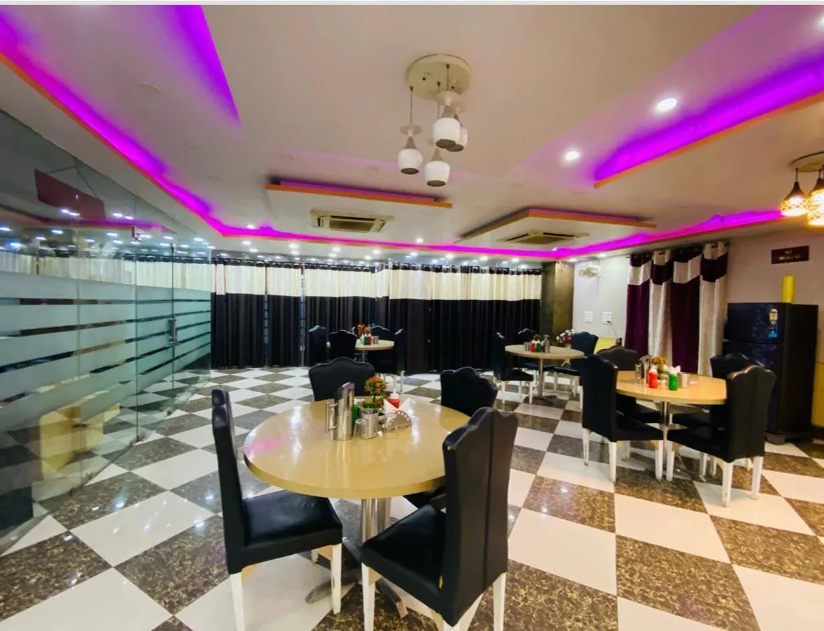 Hotel Basant Vihar International