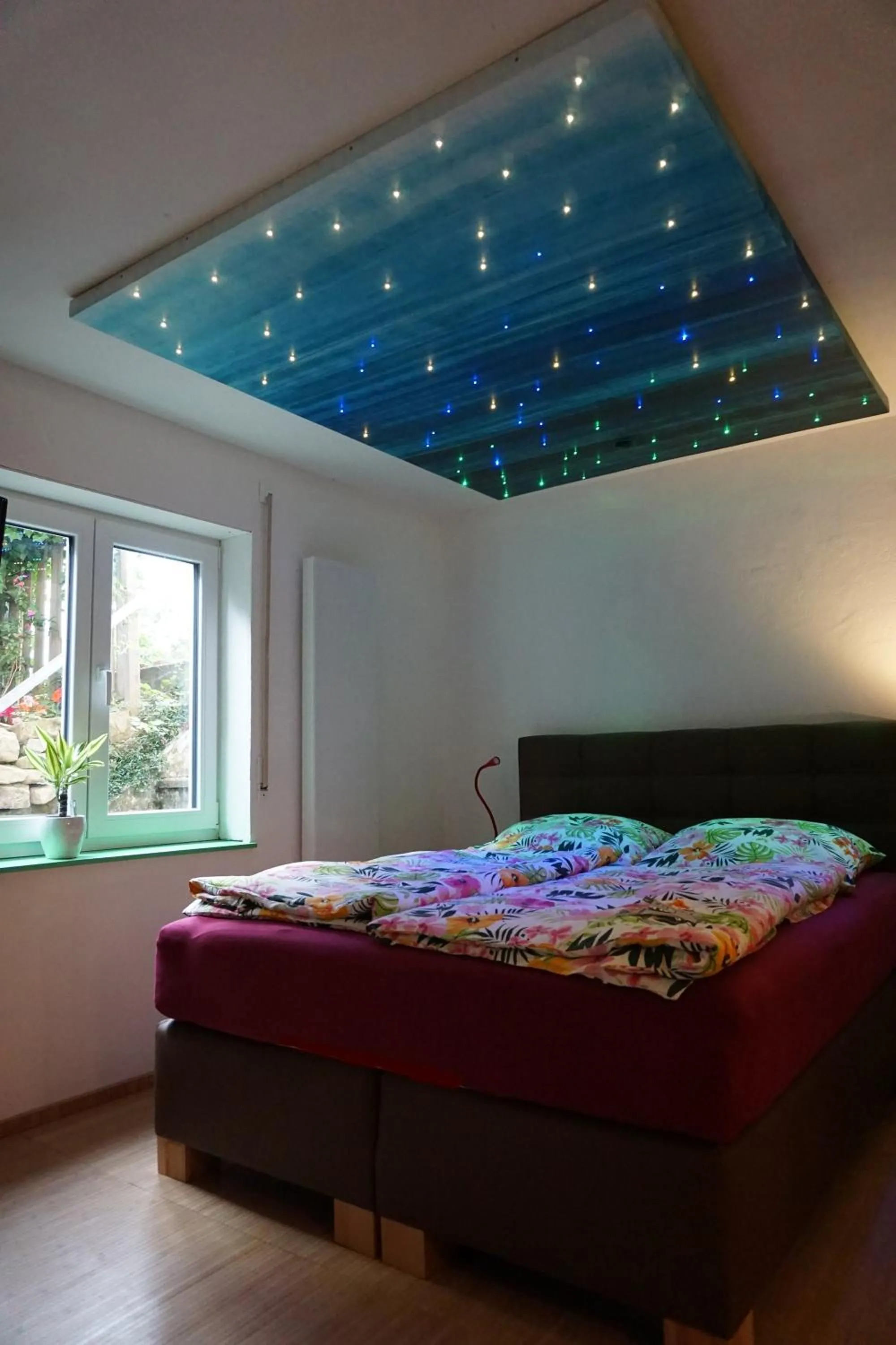 One-Bedroom Apartment with Terrace - single occupancy in Eva und Wolf Apartments