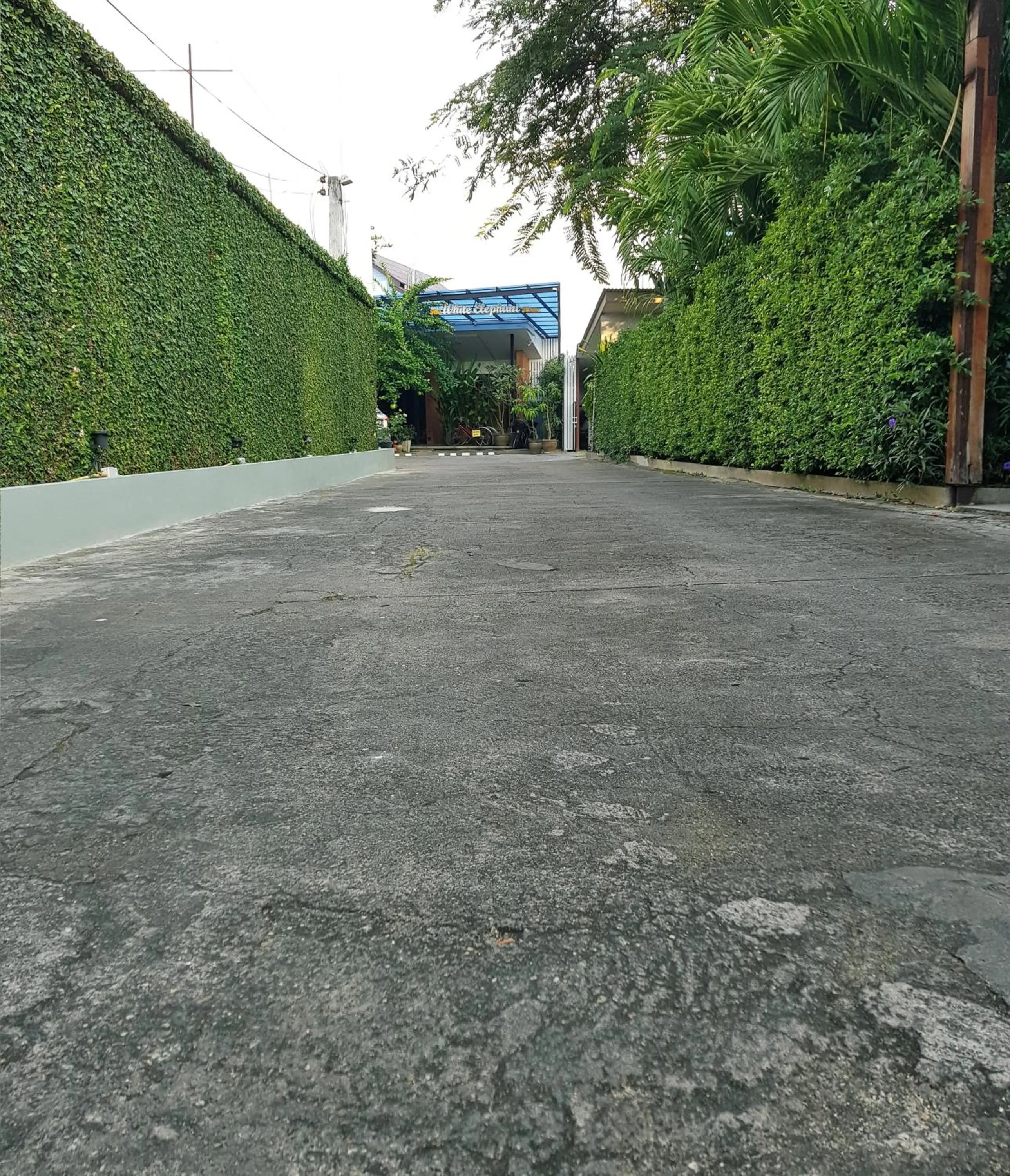 Natural landscape in The White Elephant Home