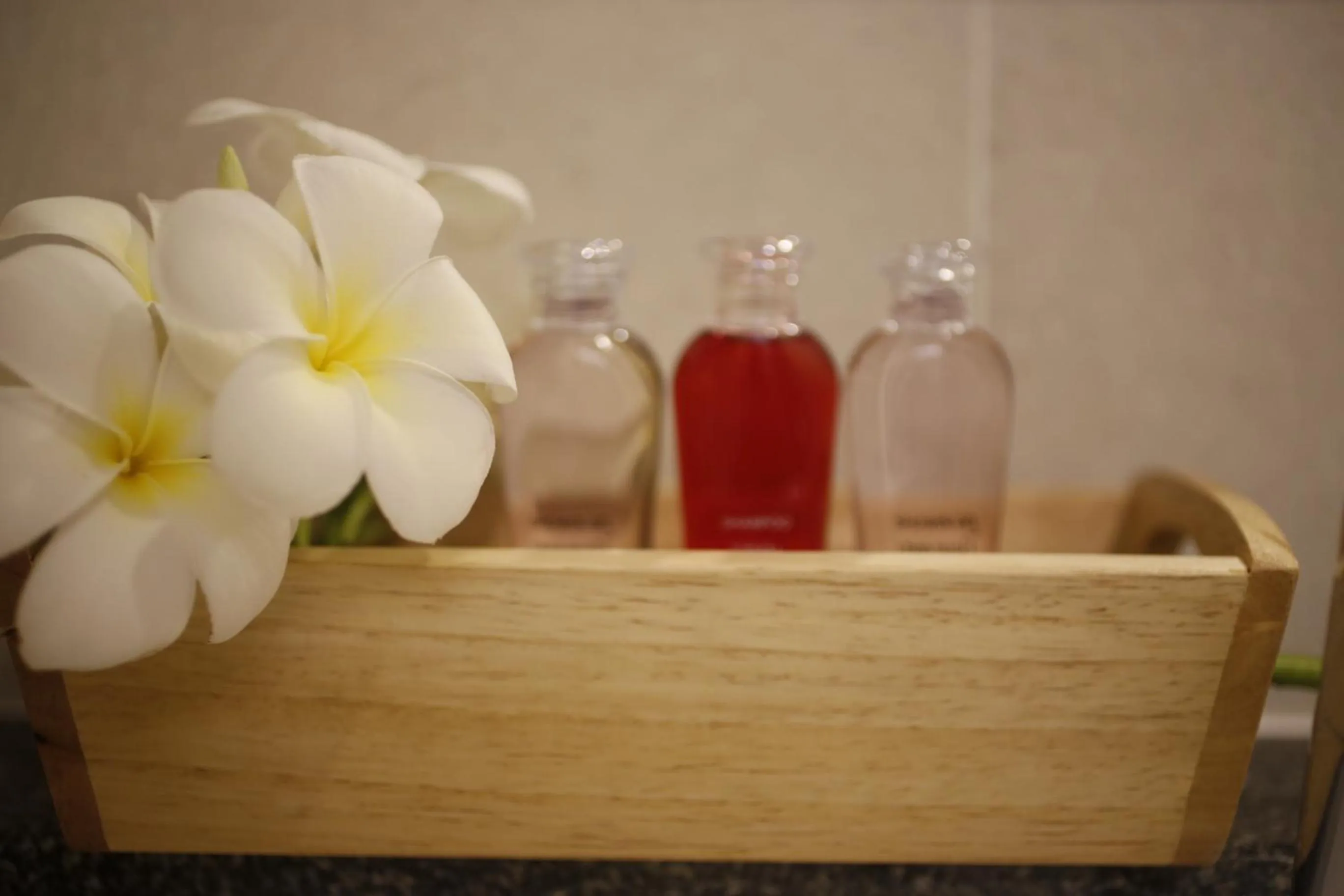 The White Elephant Home