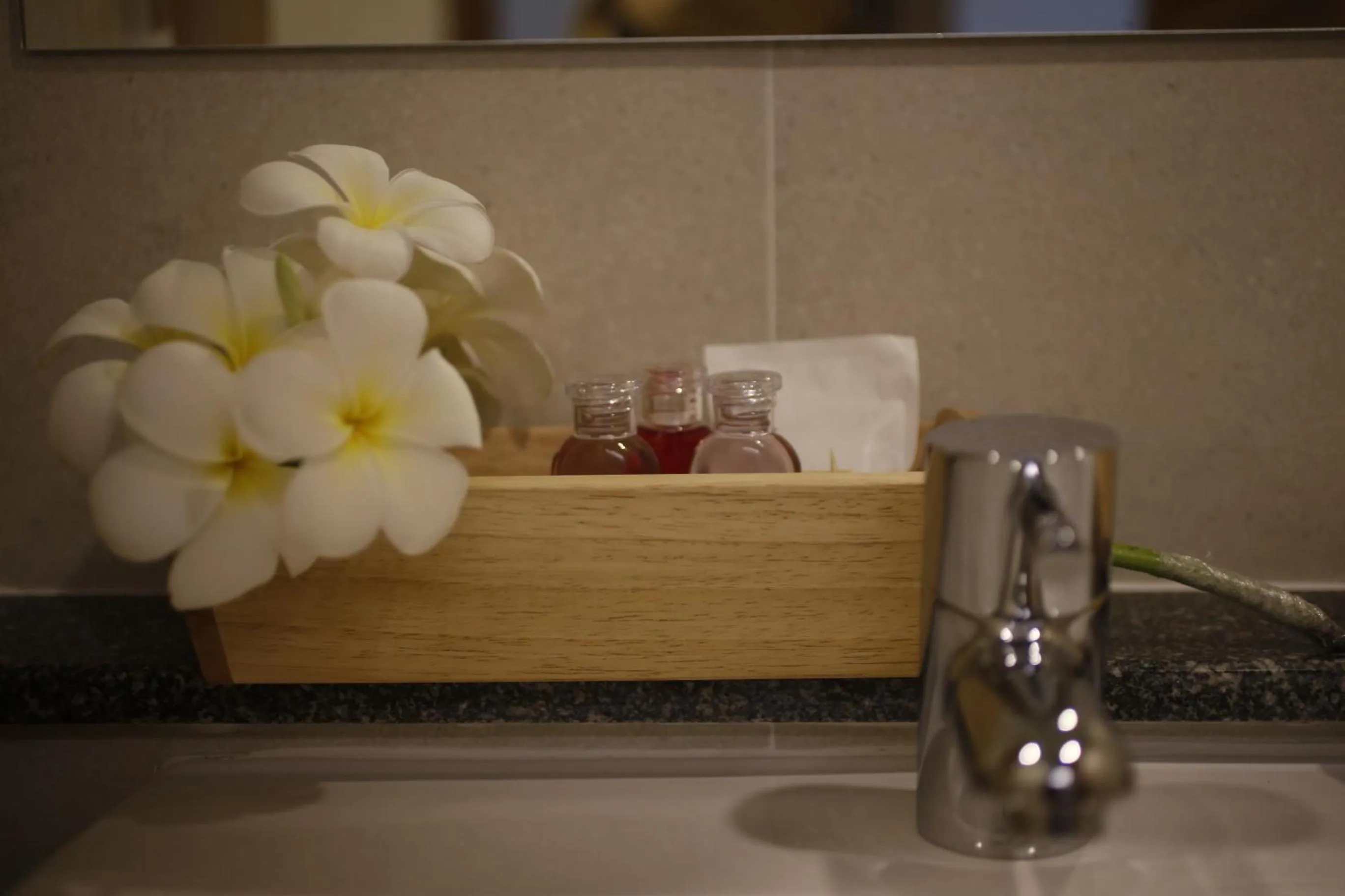 The White Elephant Home