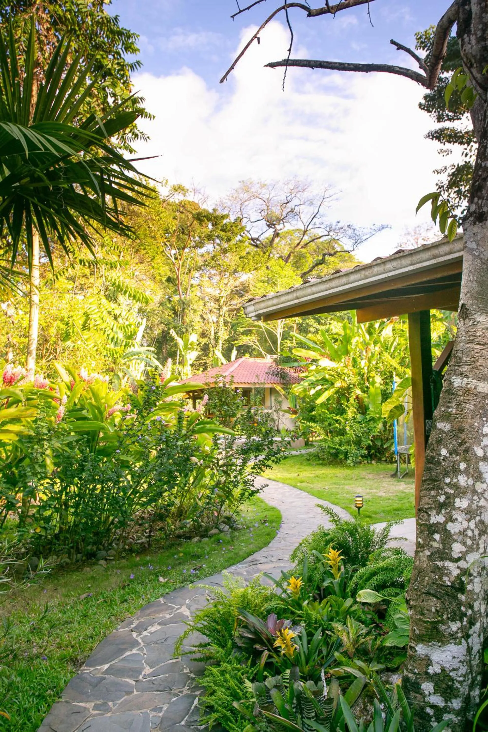 Garden in Hotel Casa Merlin