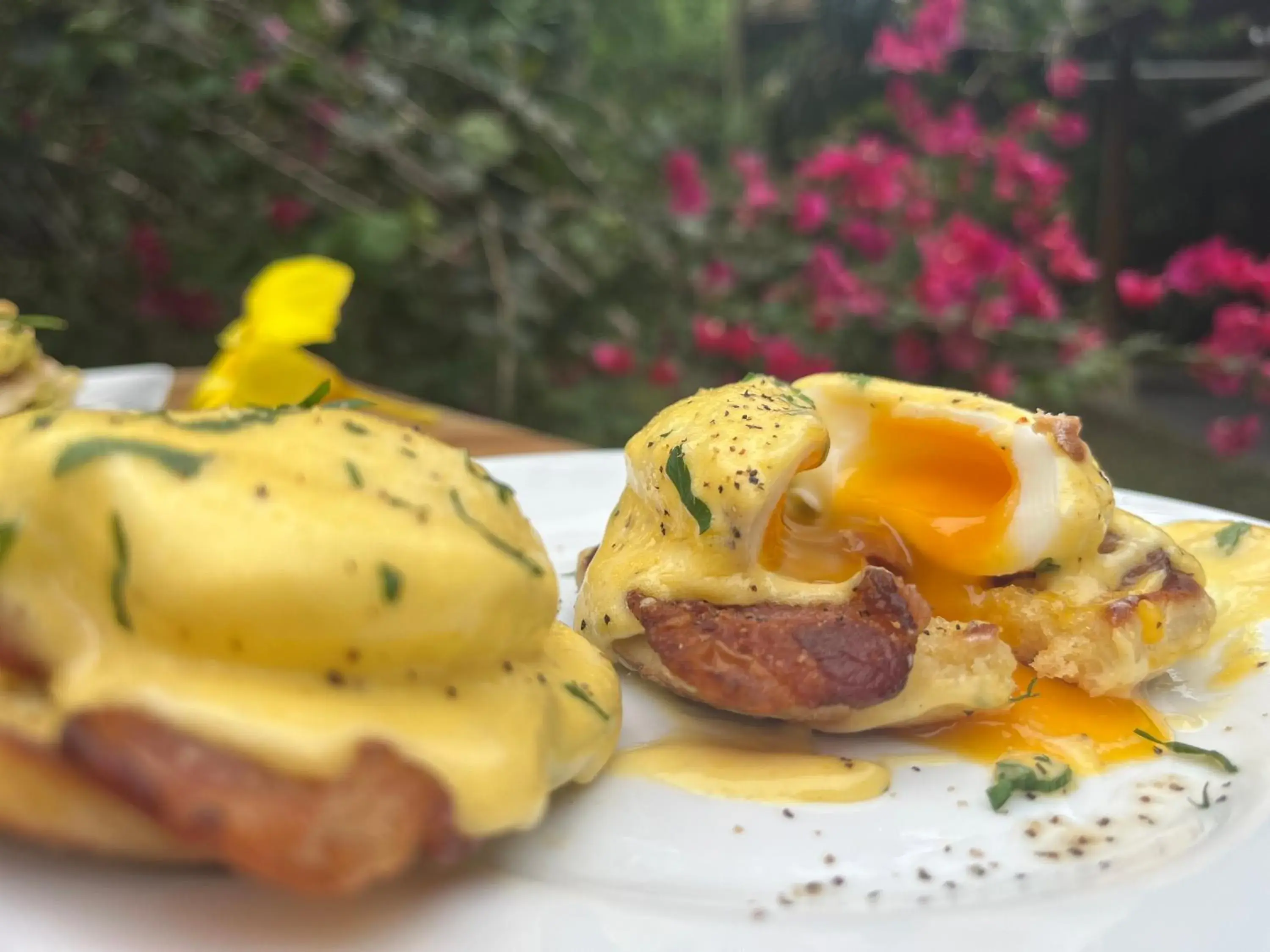 Two-Bedroom House in Hotel Casa Merlin Two-Bedroom House in Hotel Casa Merlin