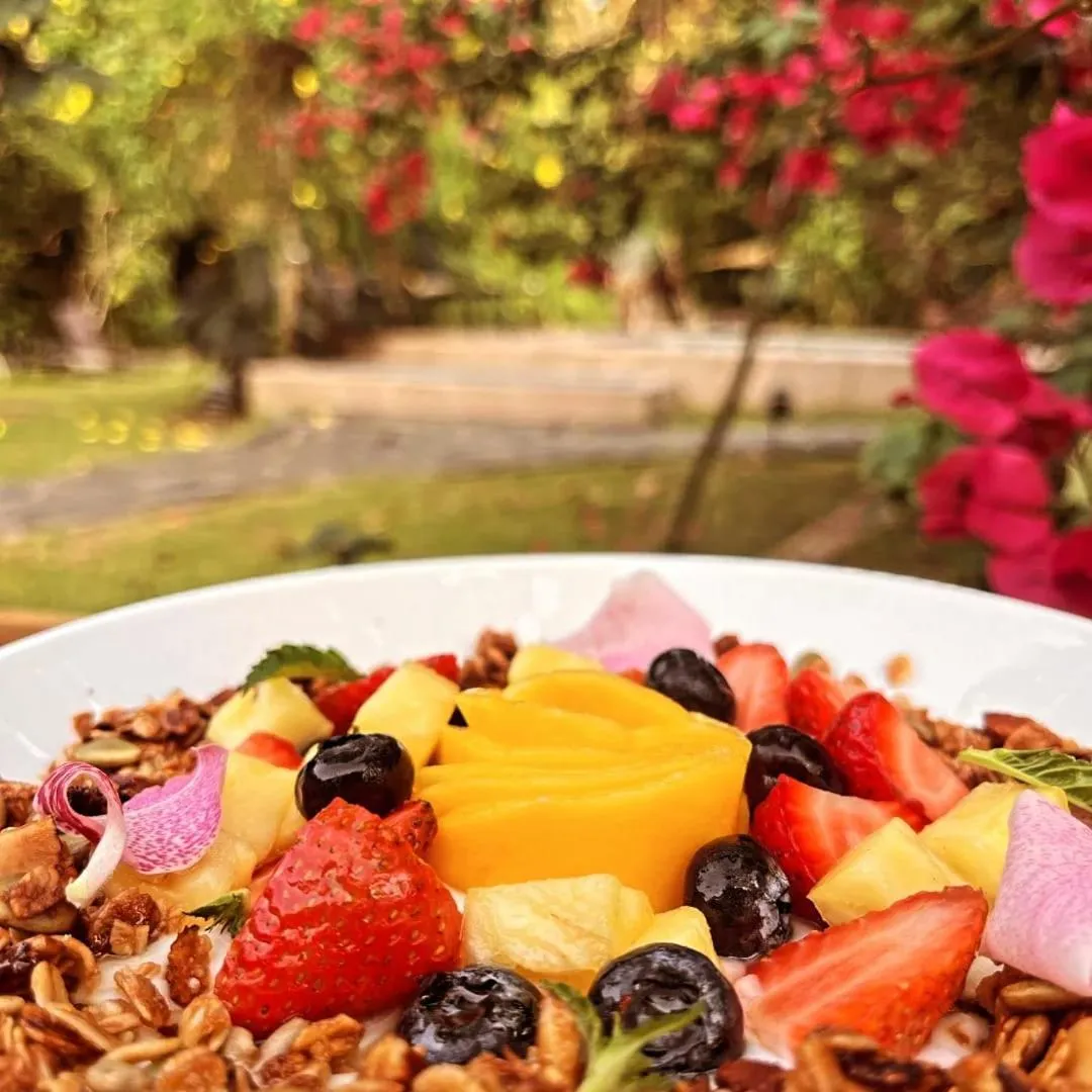 Food and drinks in Hotel Casa Merlin