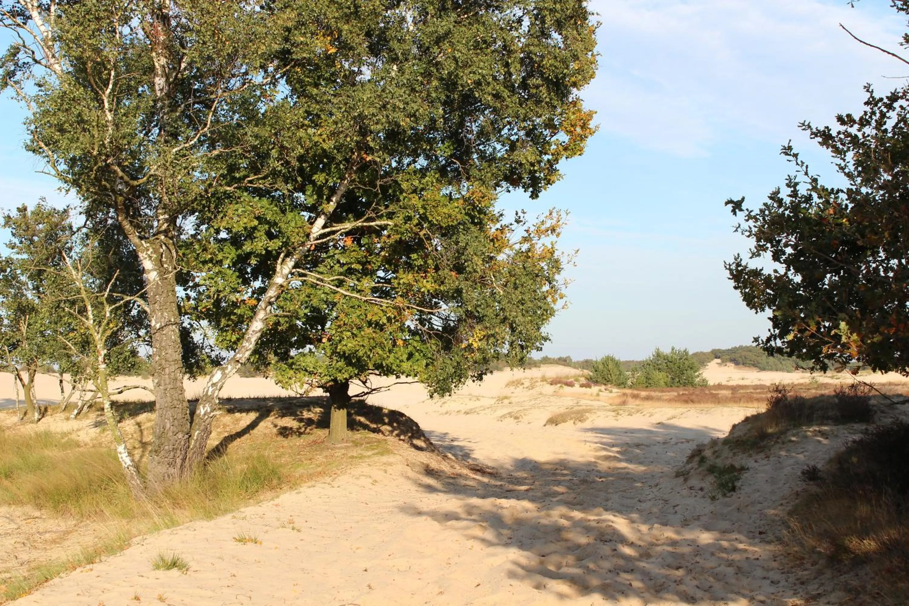 Natural landscape in Natuurpoort van Loon
