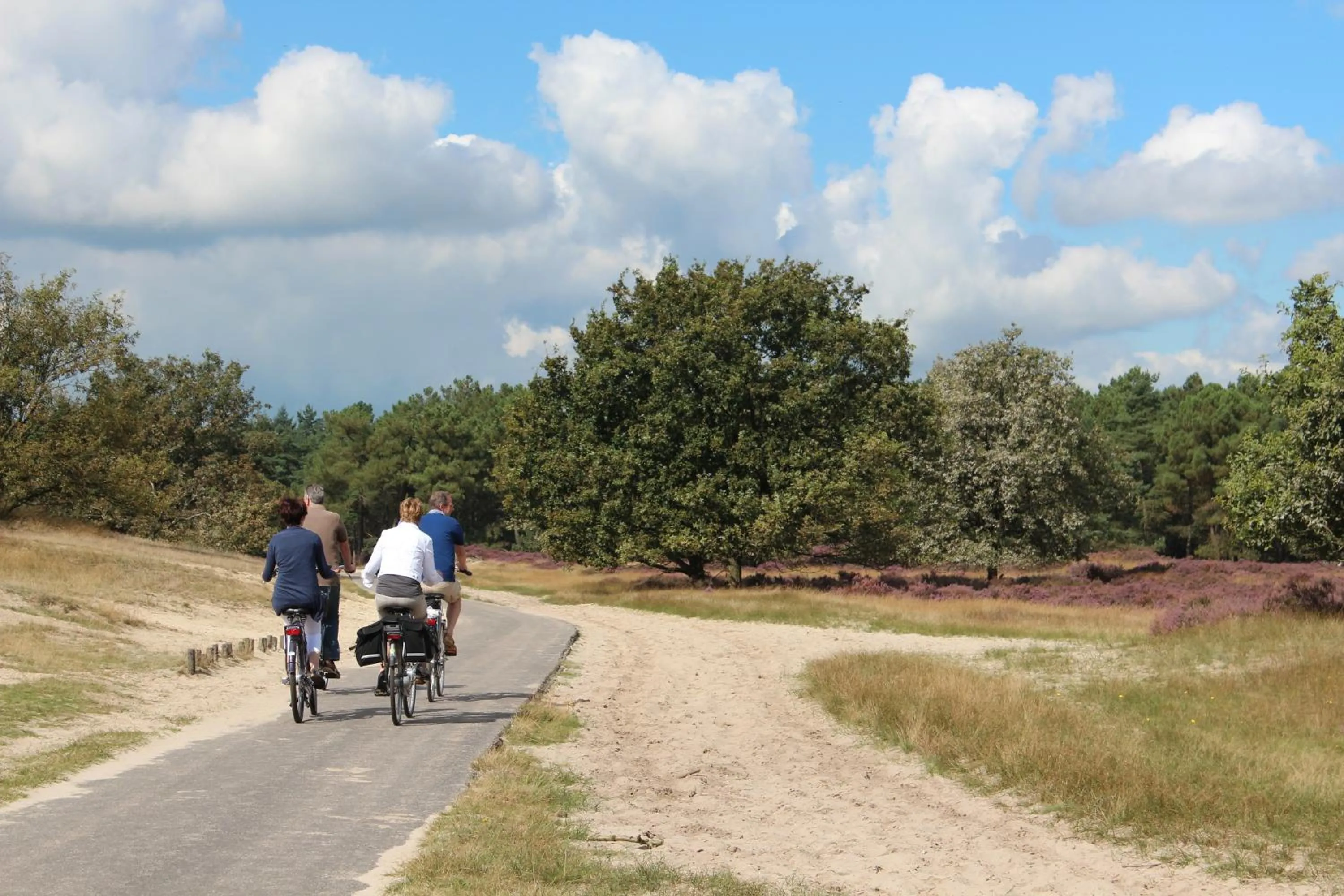 Cycling in Natuurpoort van Loon