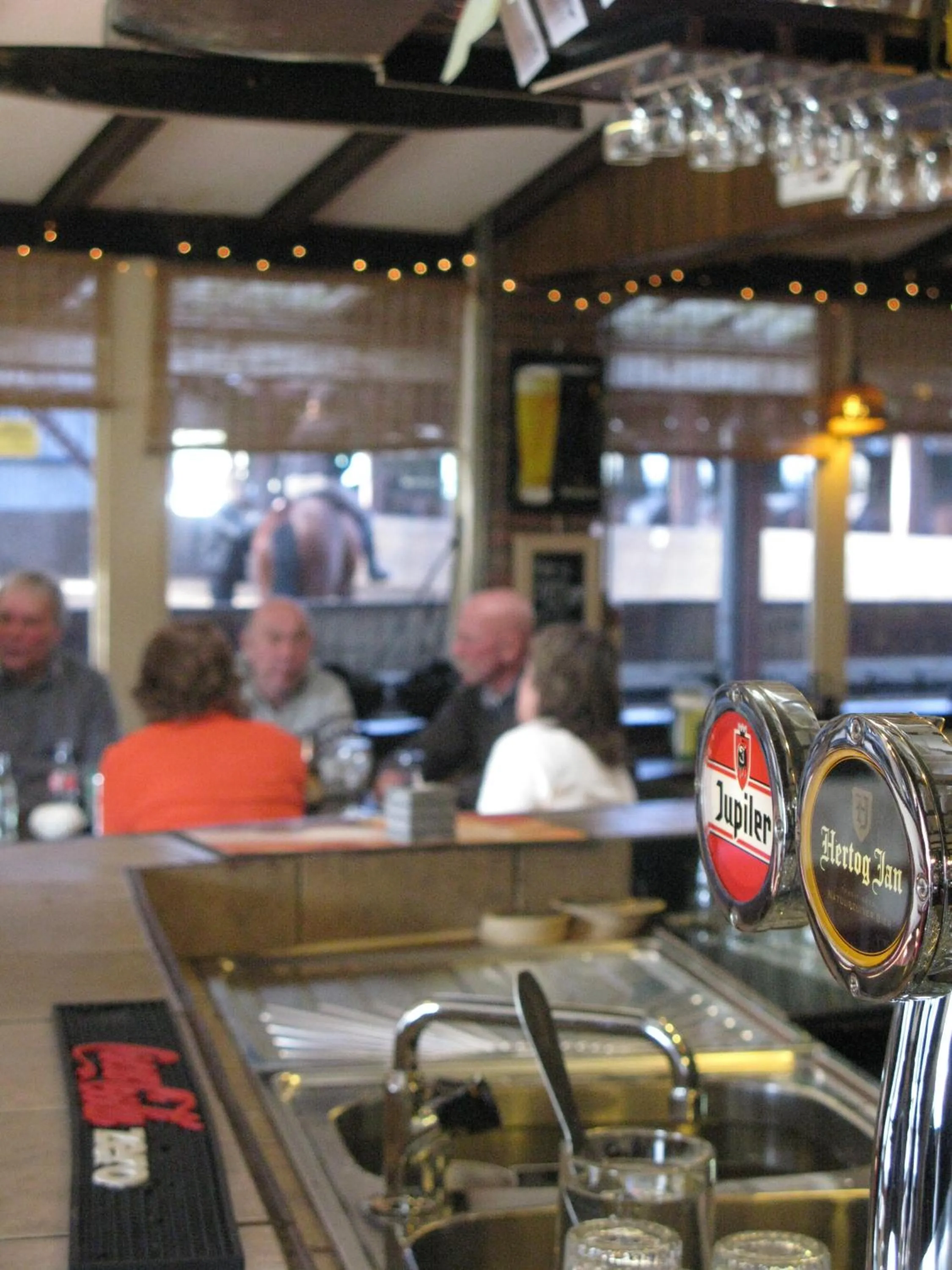 Lounge or bar in Natuurpoort van Loon