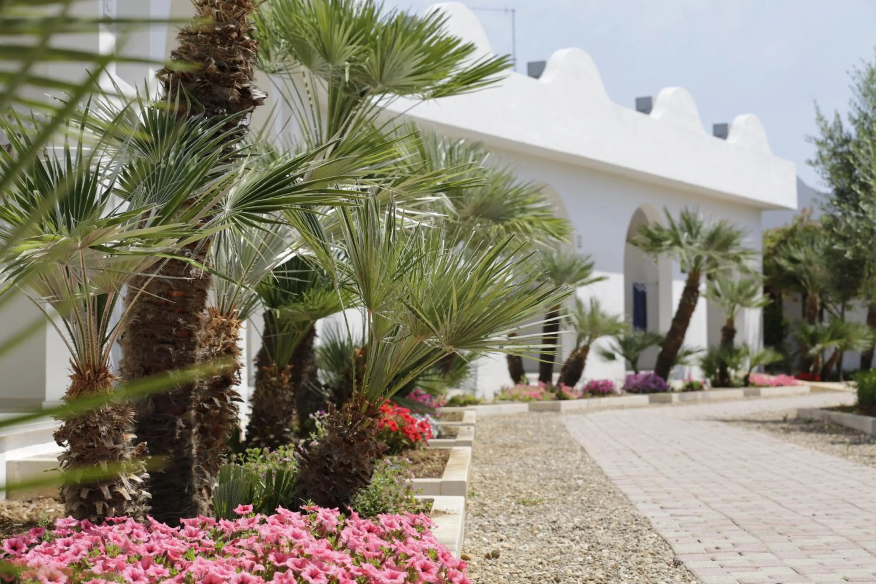 Garden in Garden Hotel Ripa