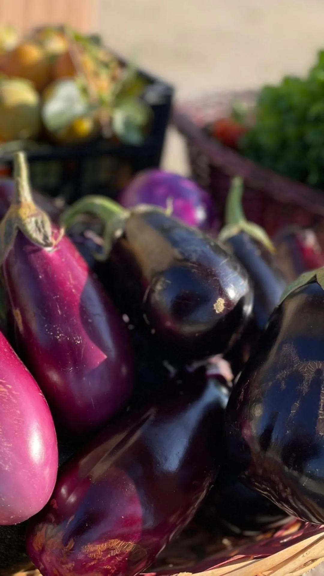 Restaurant/places to eat in UNA HOTELS Tenuta Contessa Farm & SPA Cosenza