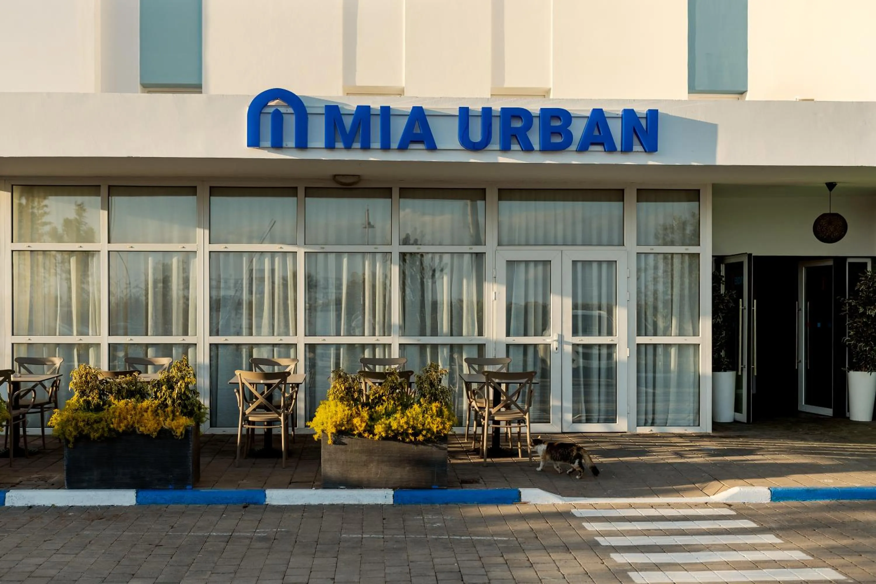 Facade/entrance in MIA Urban Fès