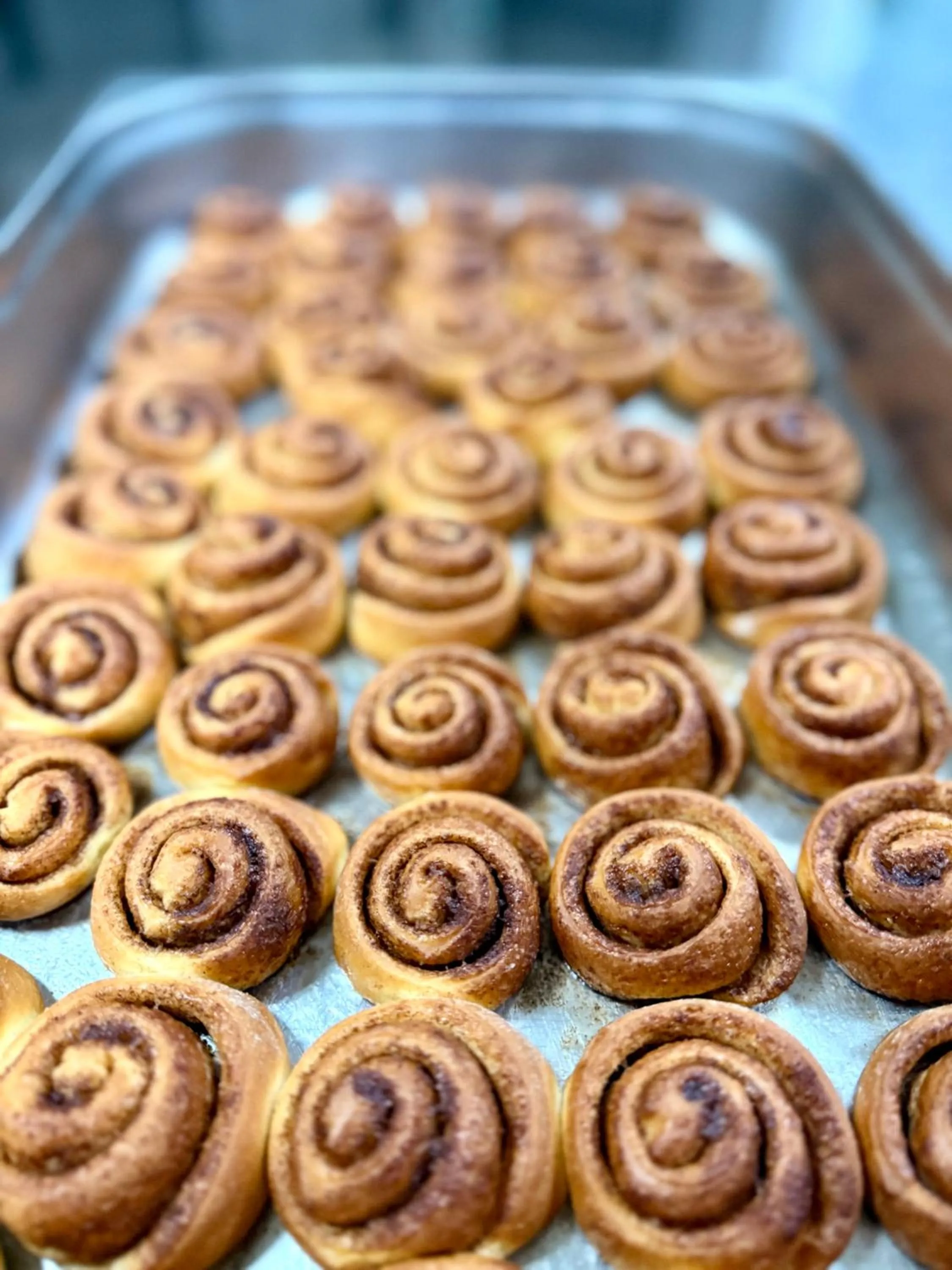 Hotel Nosal Ski & Wine