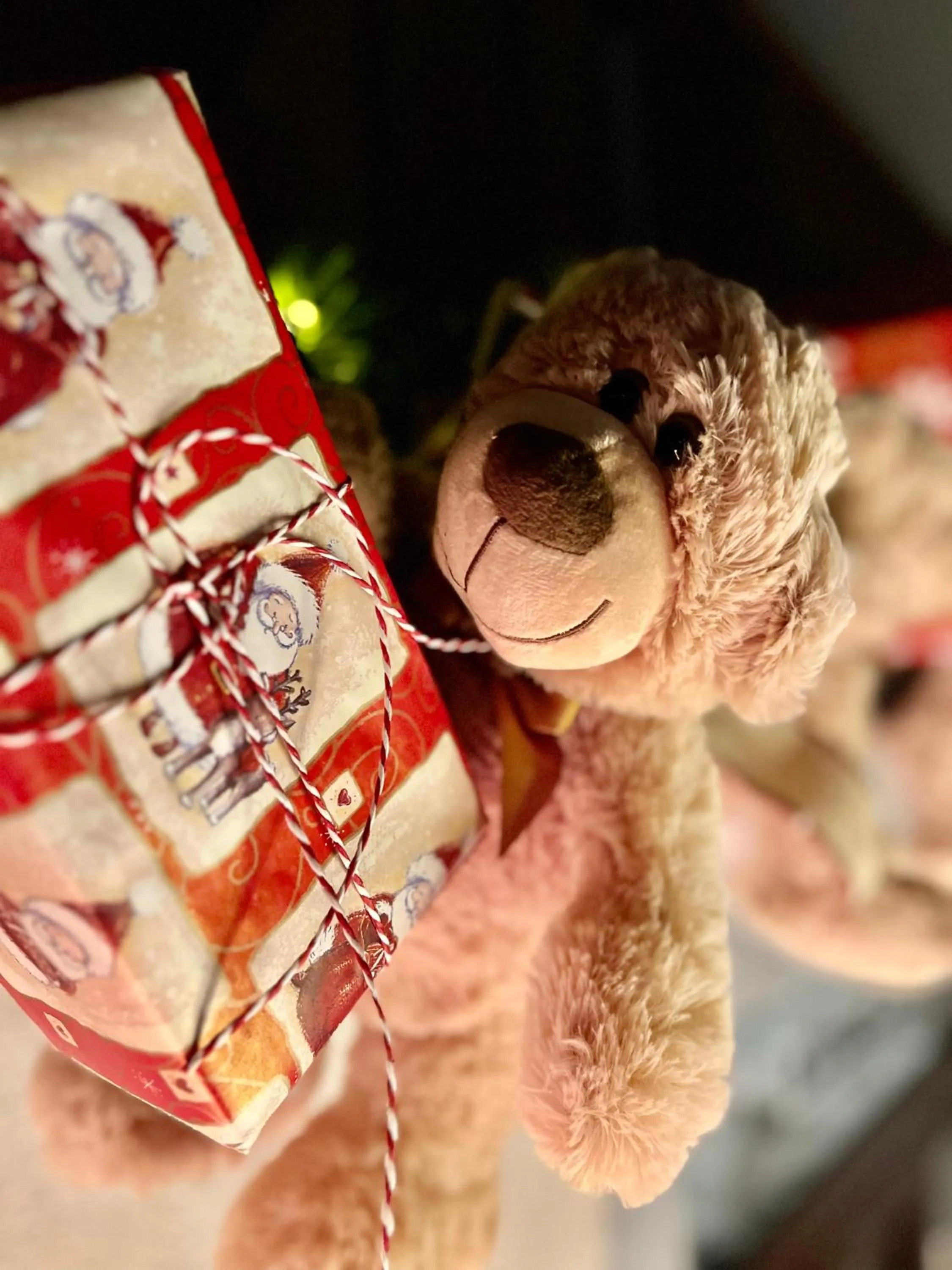 Hotel Nosal Ski & Wine