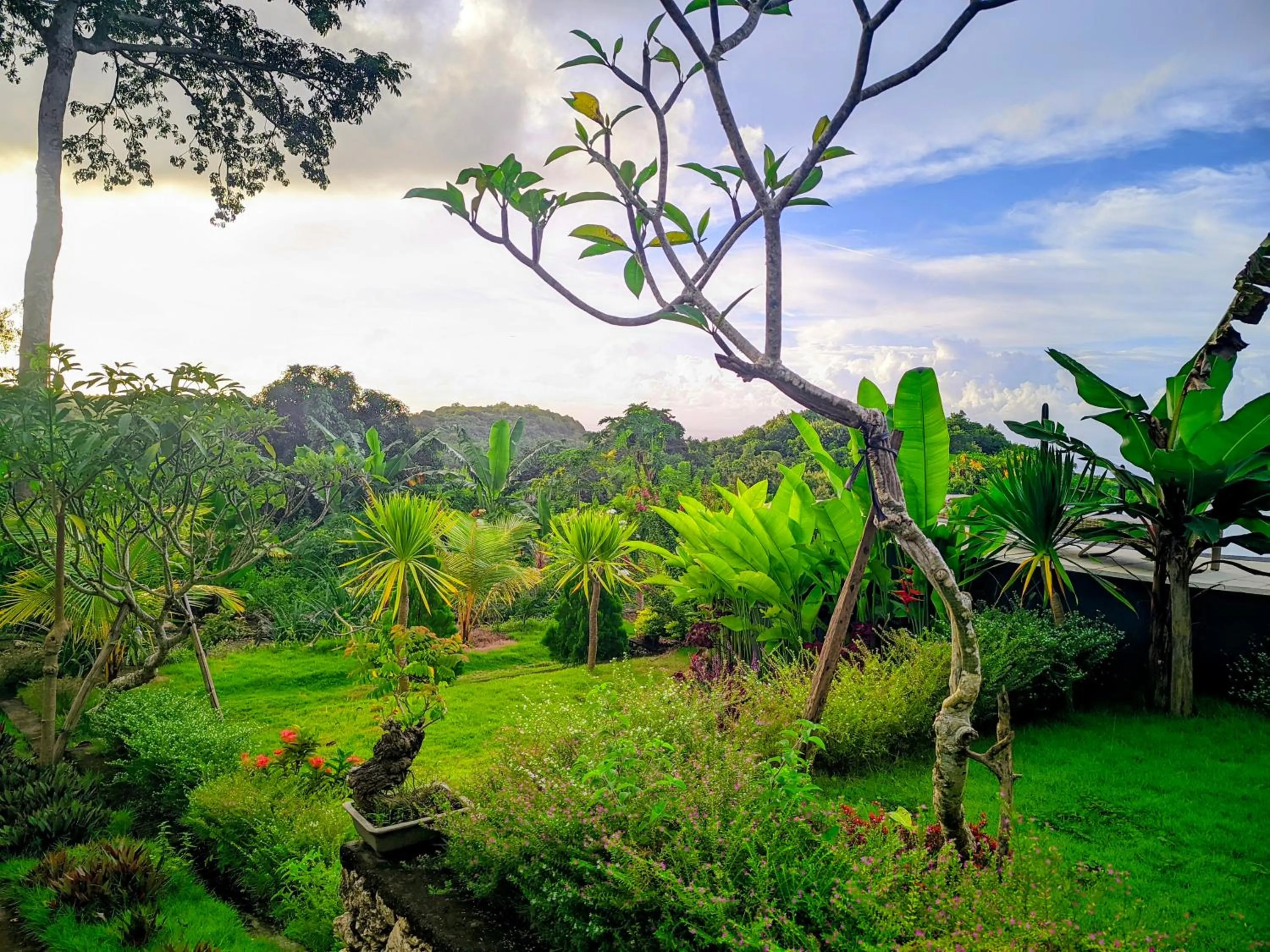 Natural landscape in Kubuhill Sunset Bungalow