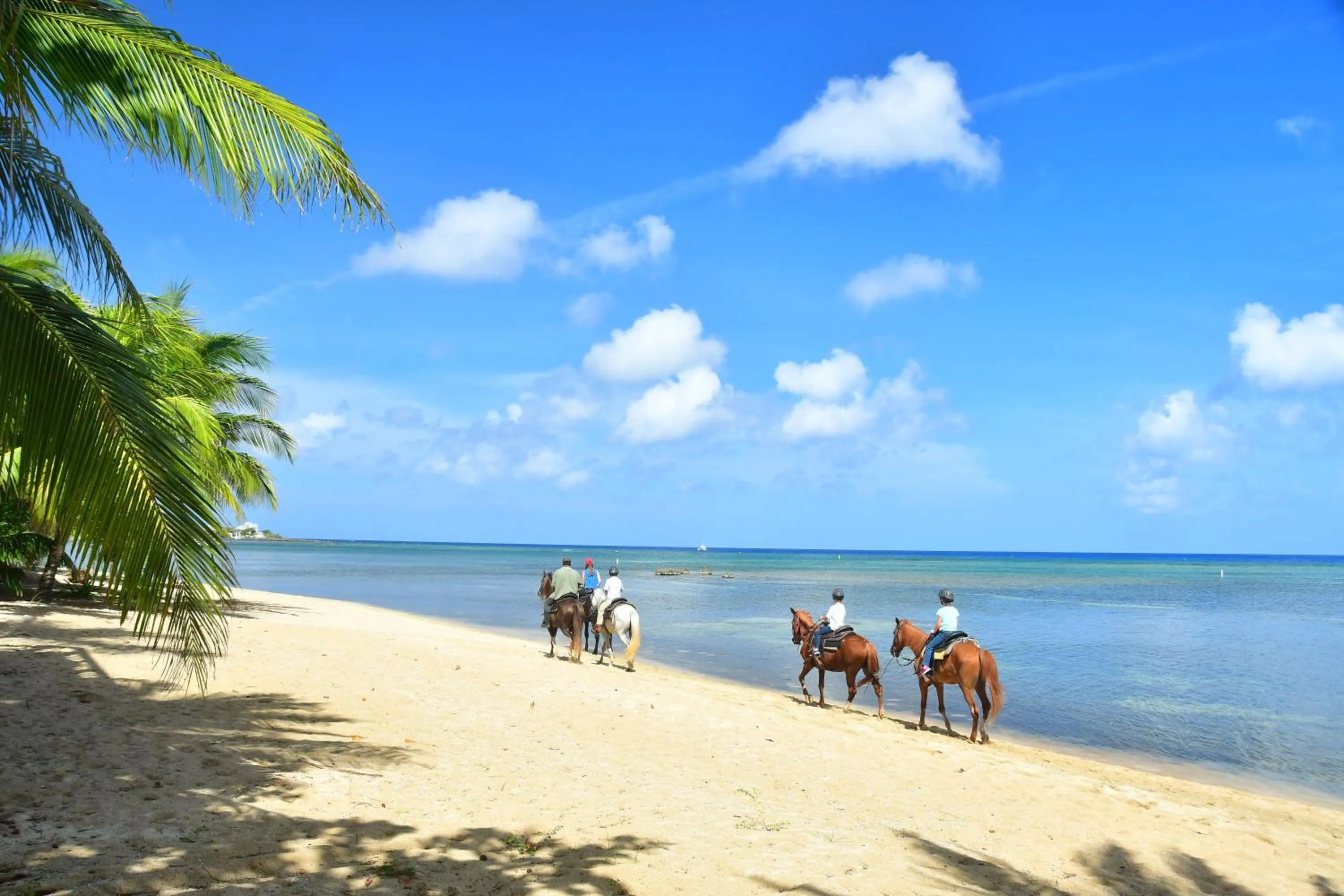 Horse-riding in Anthony's Key Resort