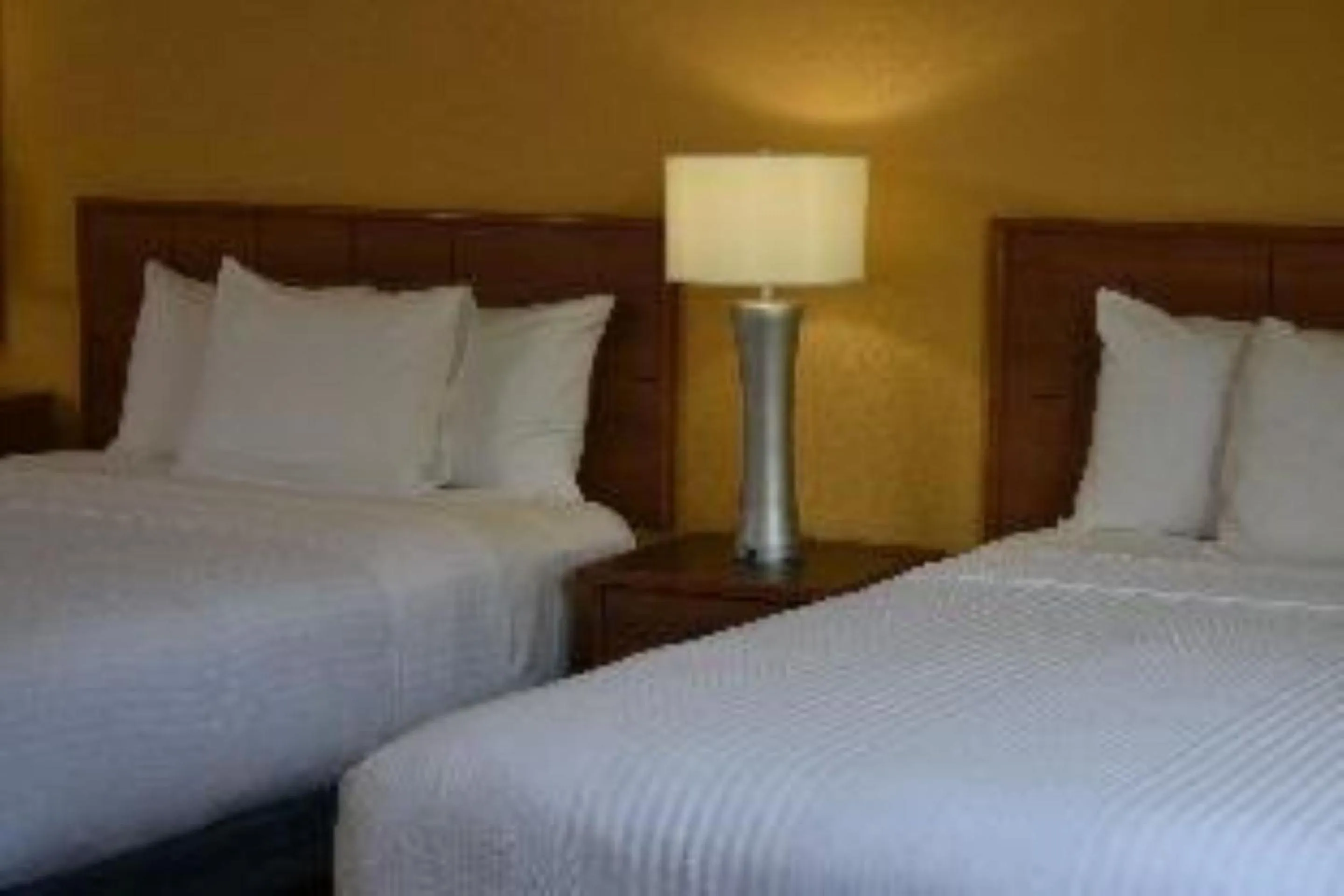 Bedroom, Bed in Studio 6 Carlsbad CA