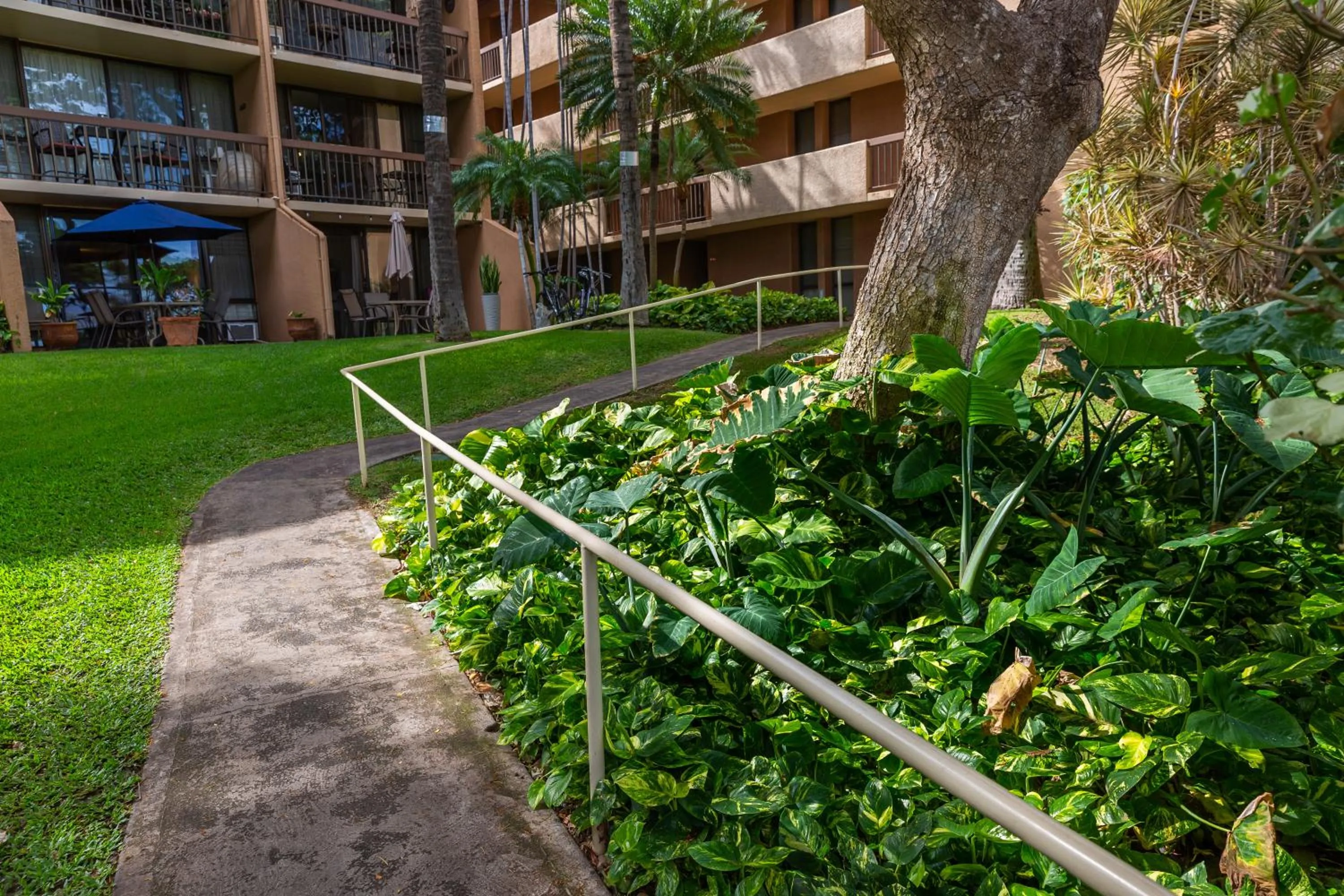 Maui Vista Vacation Condo