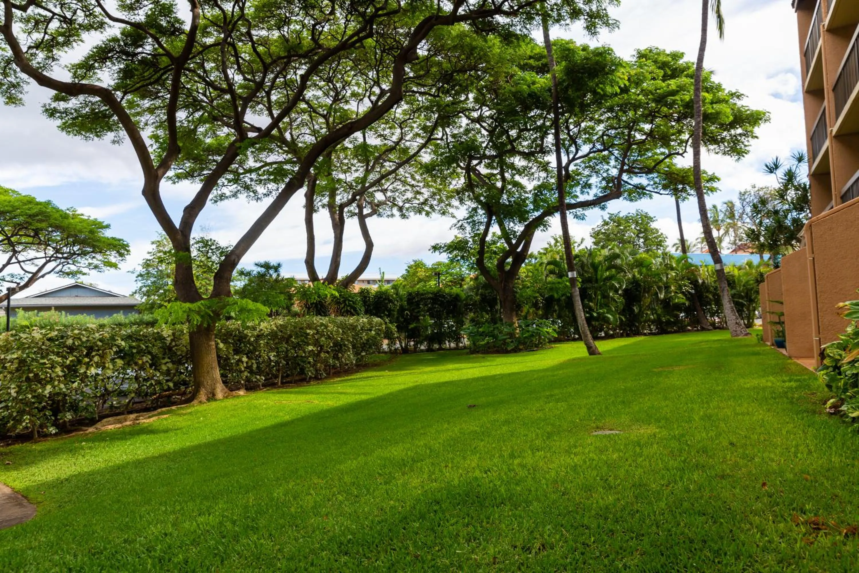 Maui Vista Vacation Condo