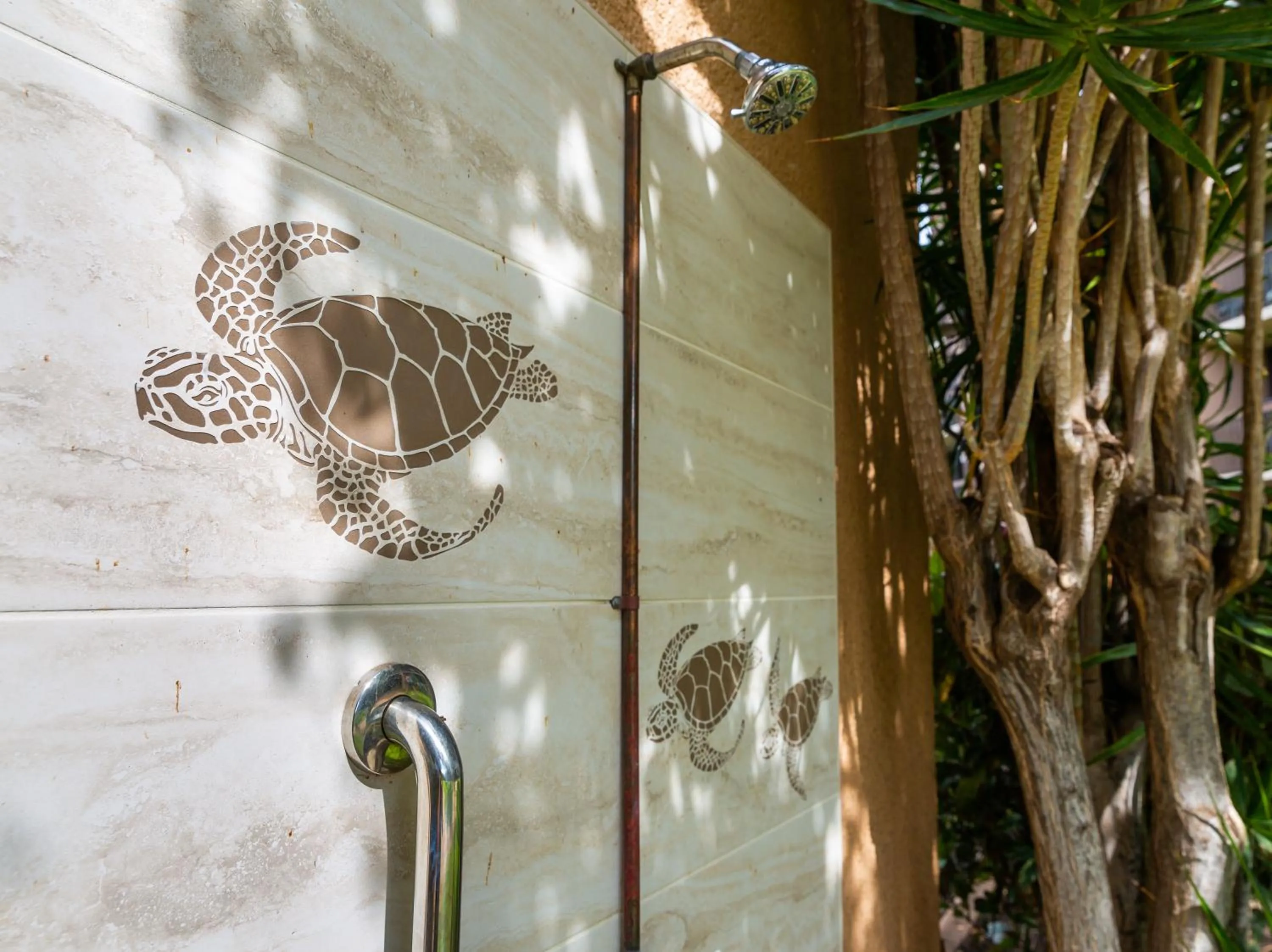 Maui Vista Vacation Condo