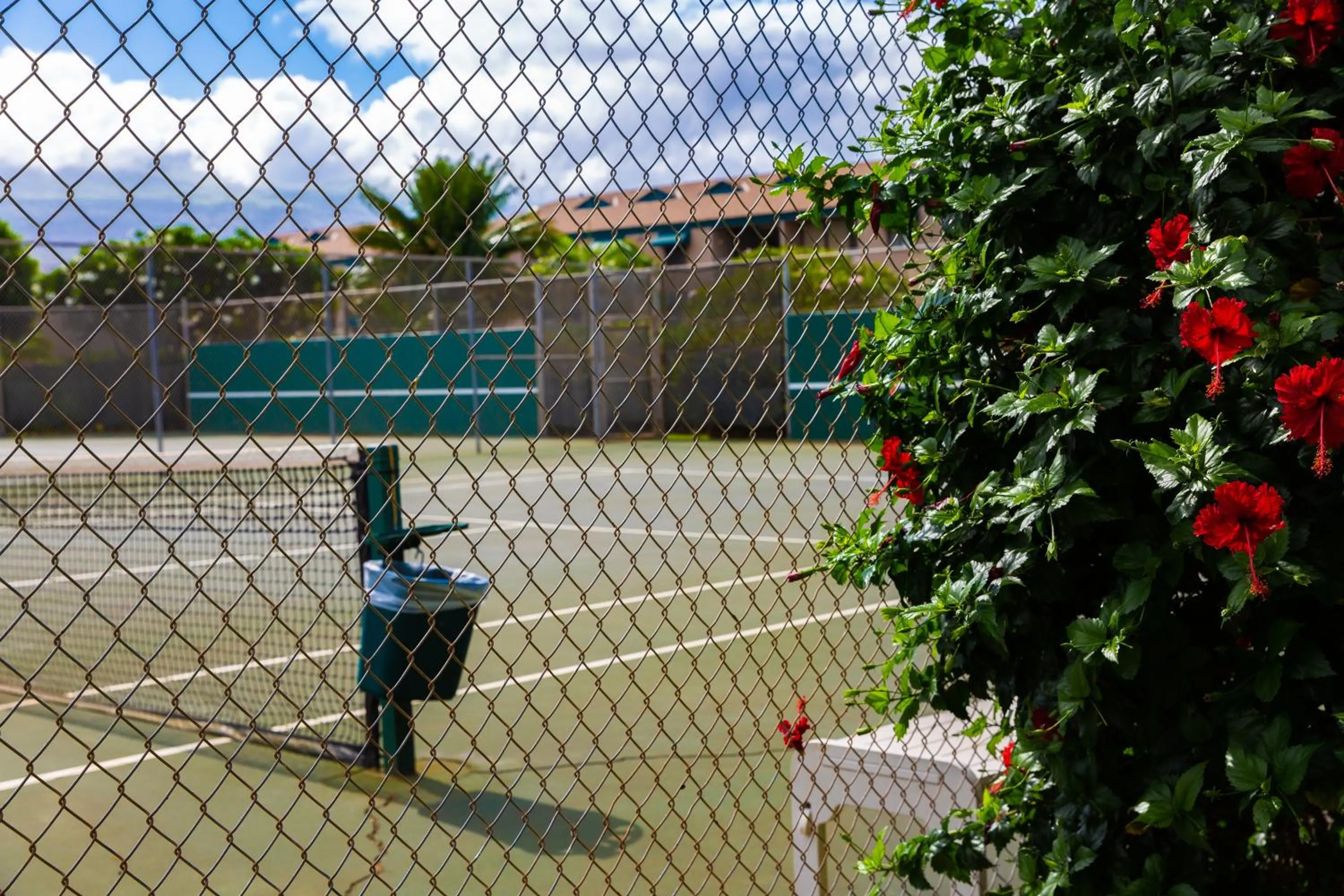 Maui Vista Vacation Condo