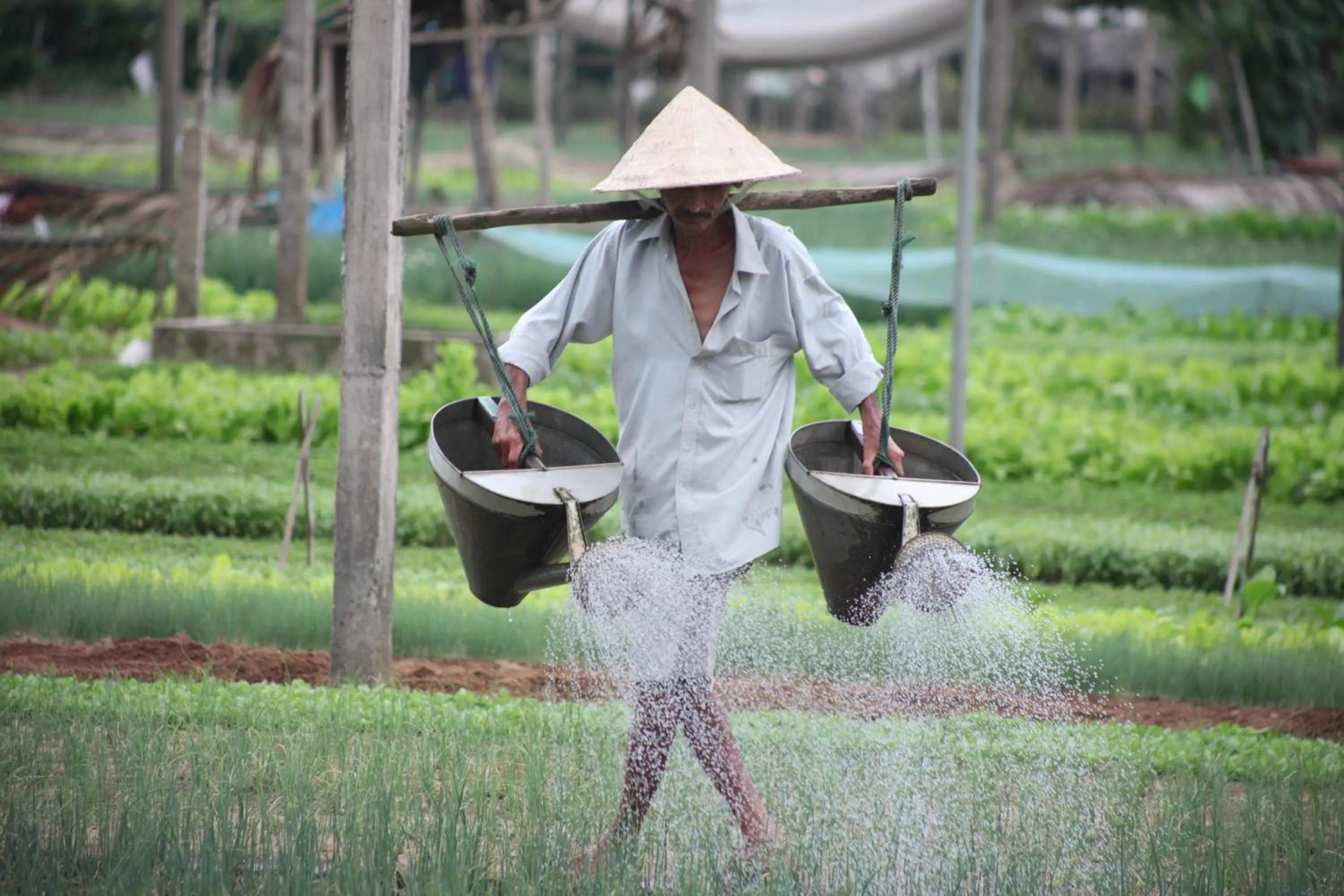 People in Charming Homestay