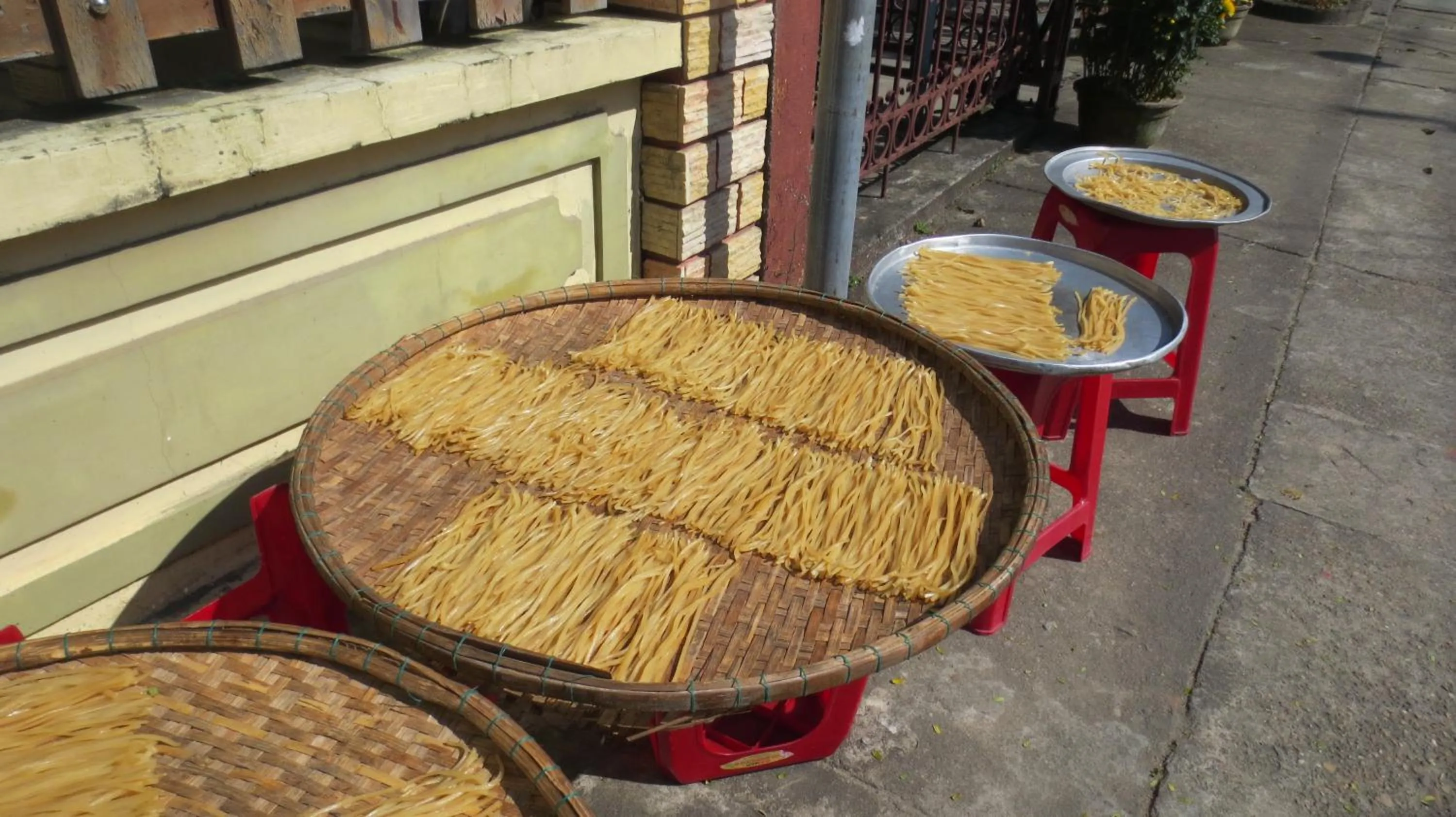 Activities in Charming Homestay