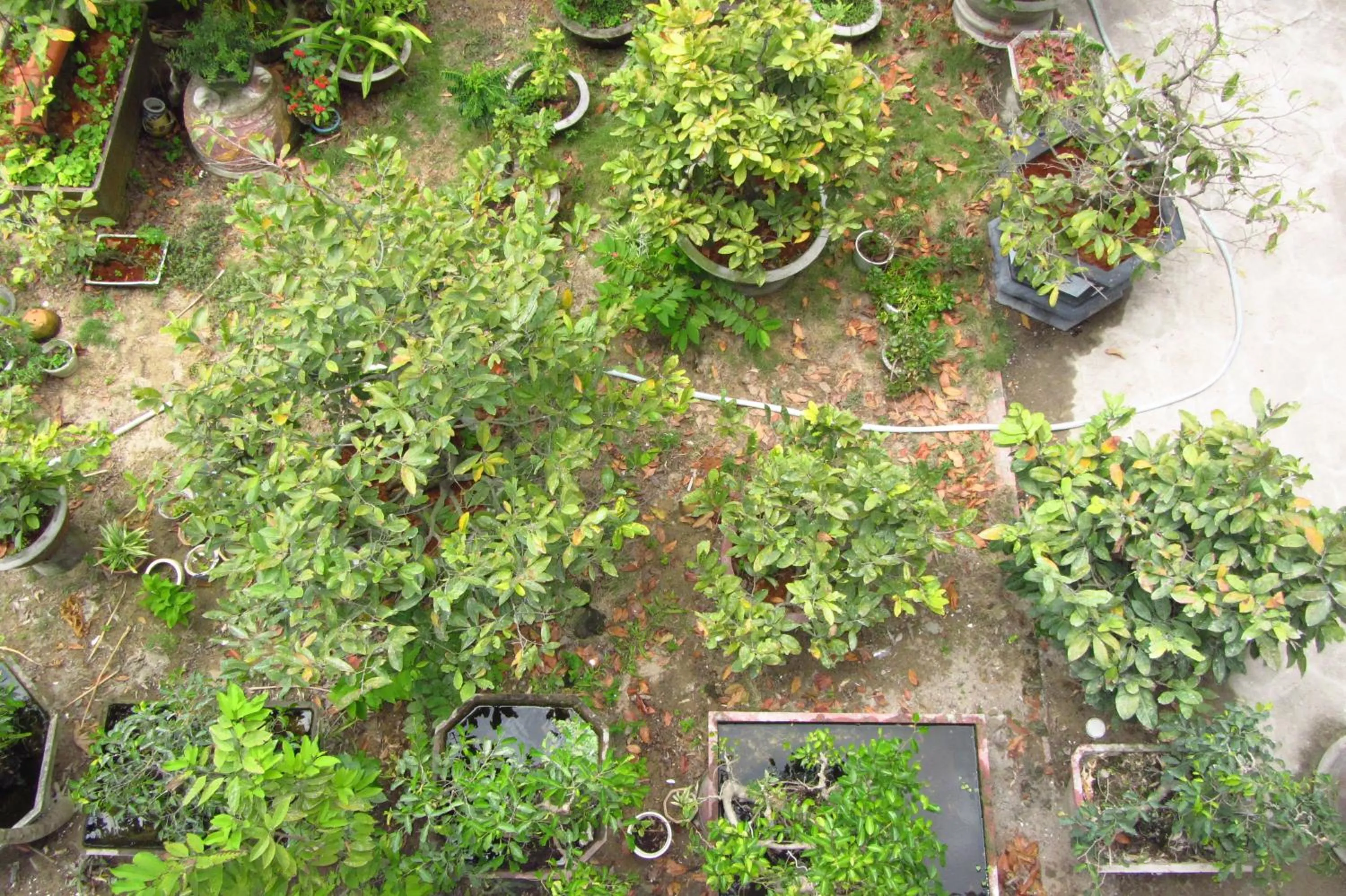 Day in Charming Homestay