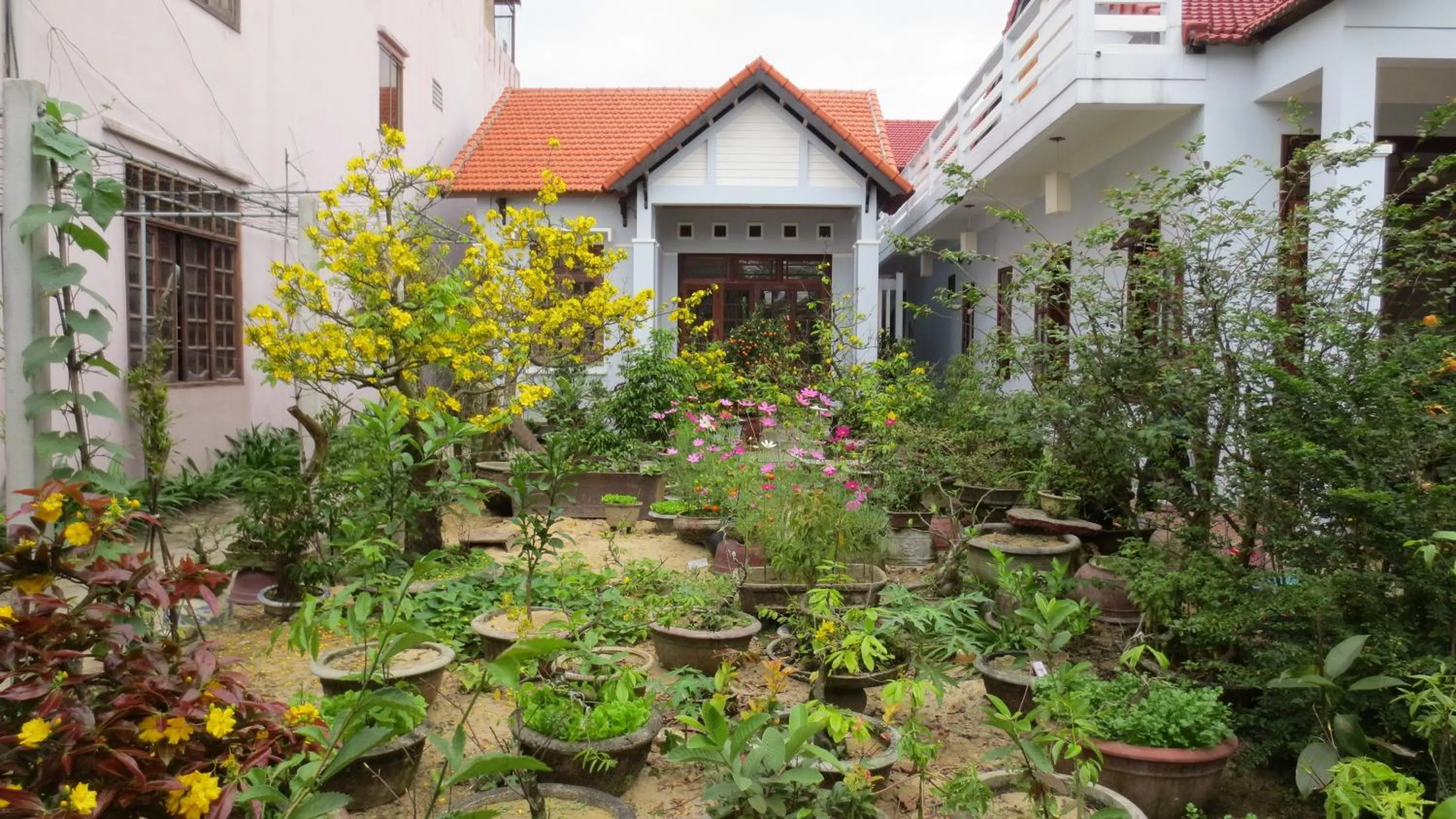 Garden in Charming Homestay