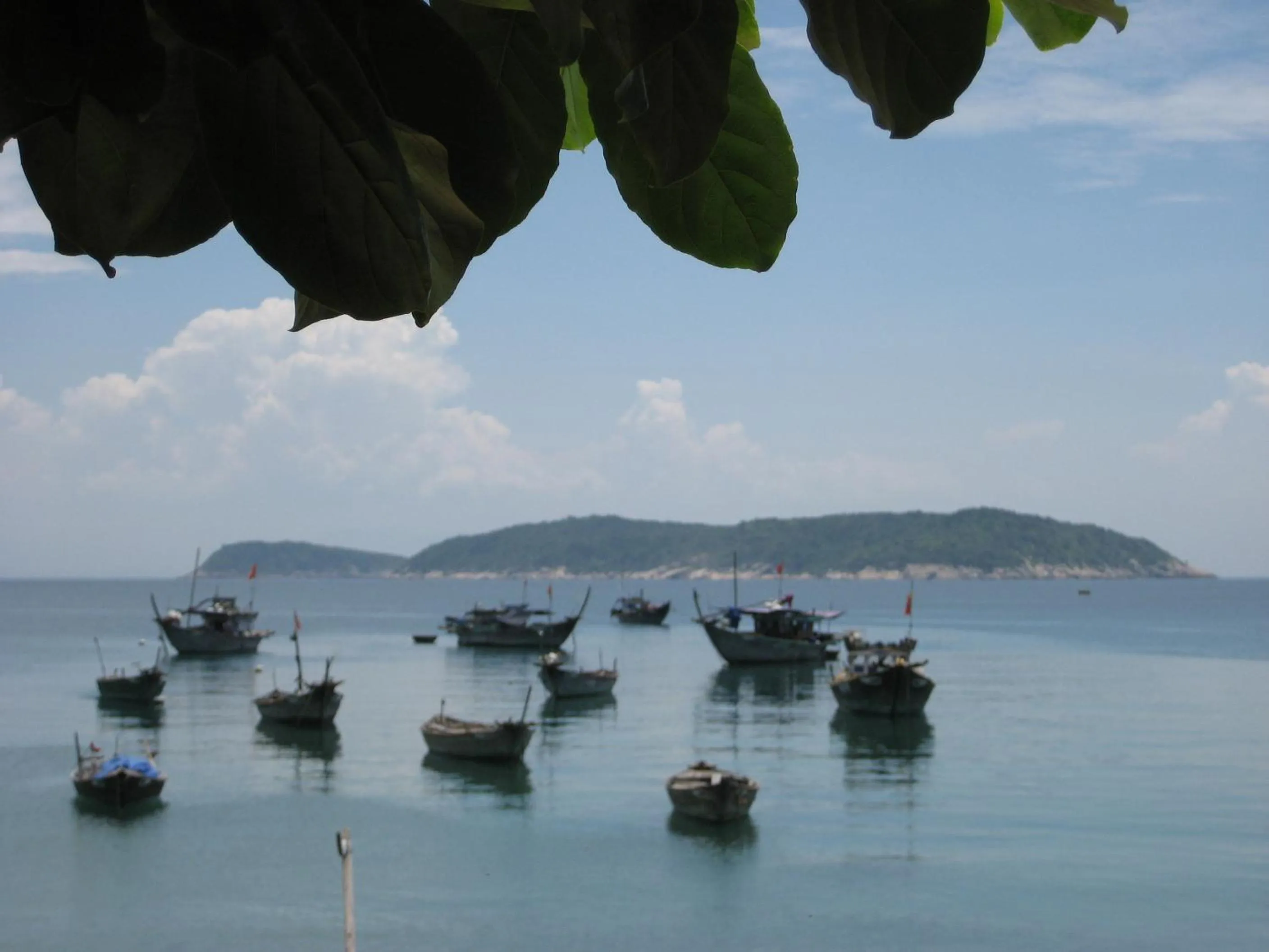 Area and facilities in Charming Homestay