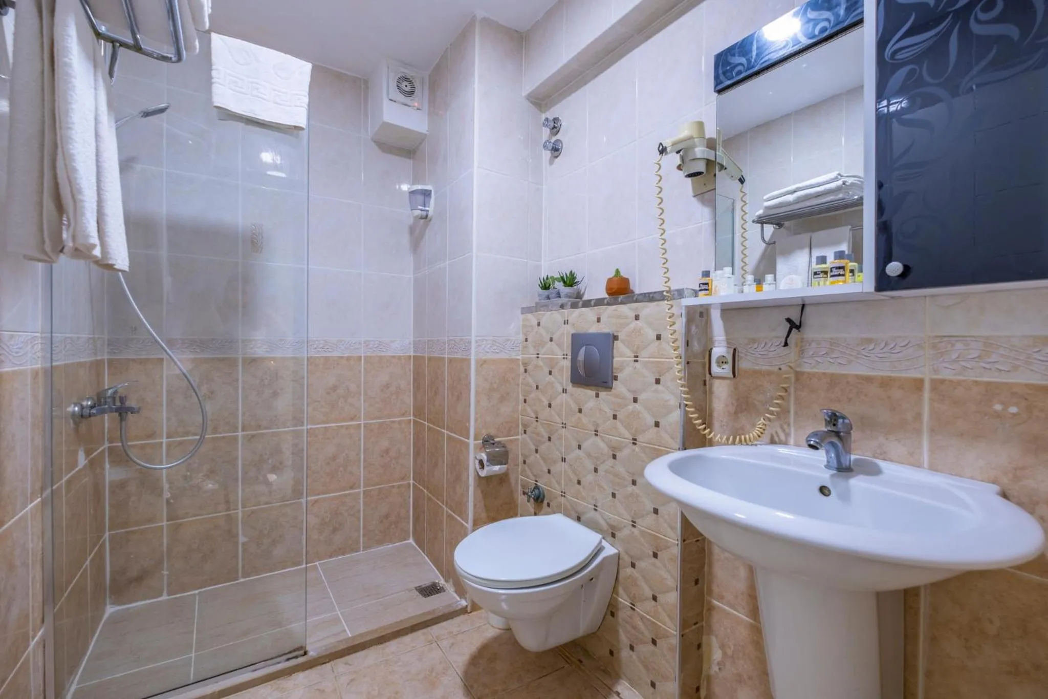 Shower in Deluxe Ersoy Hotel