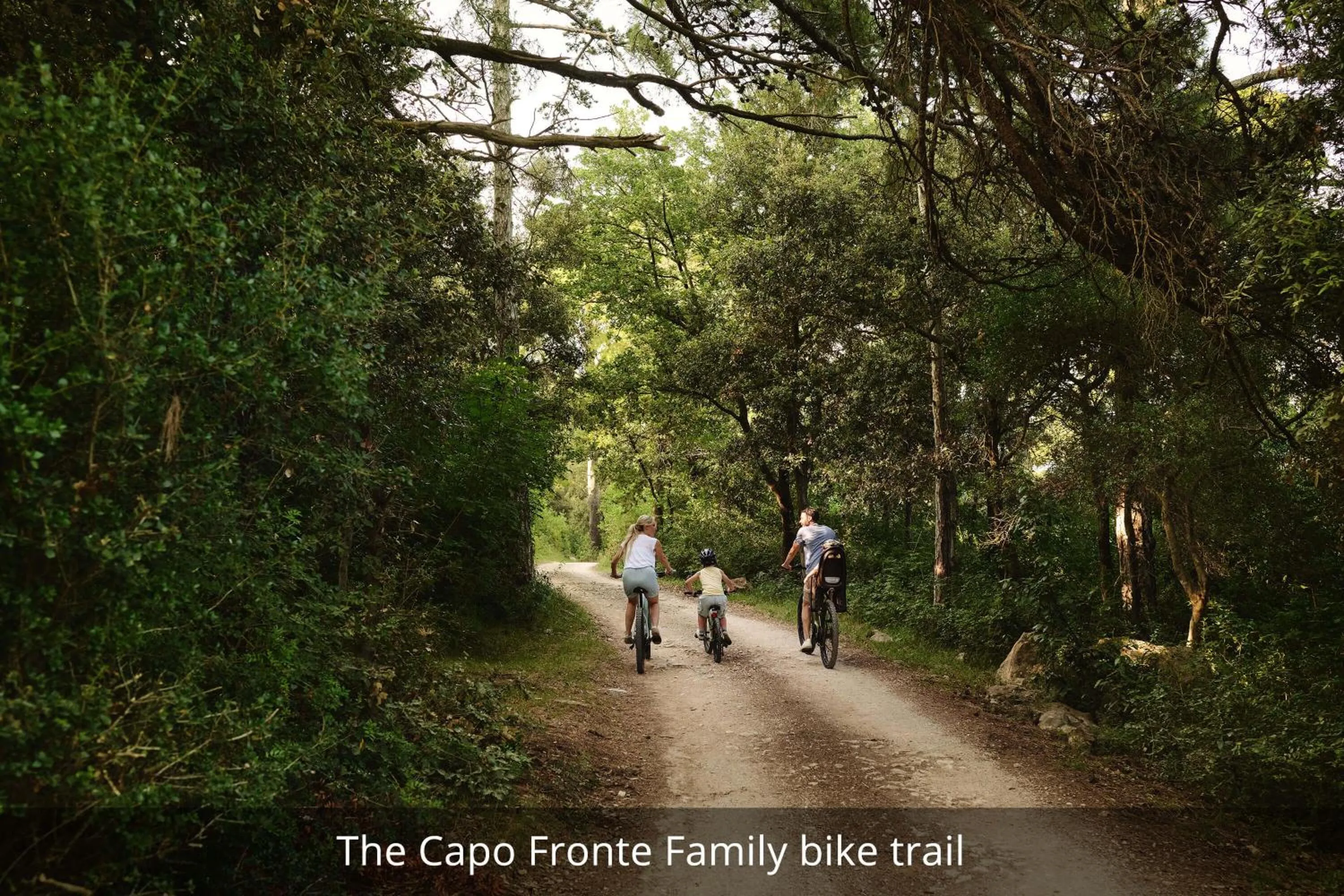 Natural landscape in Arba Resort, Valamar Collection