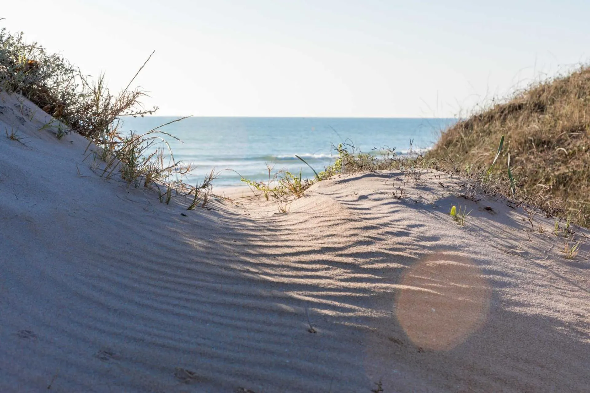 Beach in Albufera Dreams Nature Suites