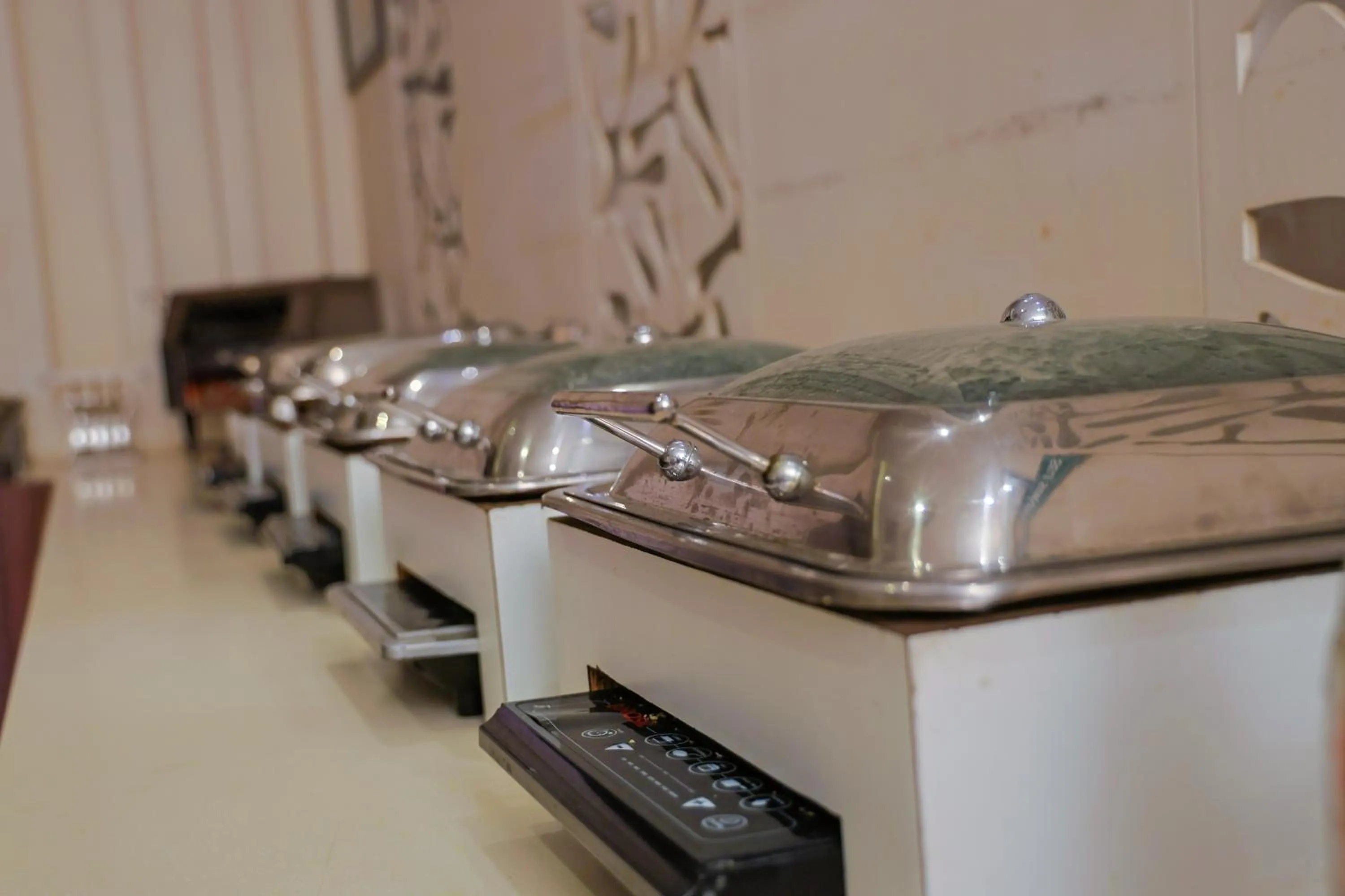 Buffet breakfast in Le Roi Udaipur