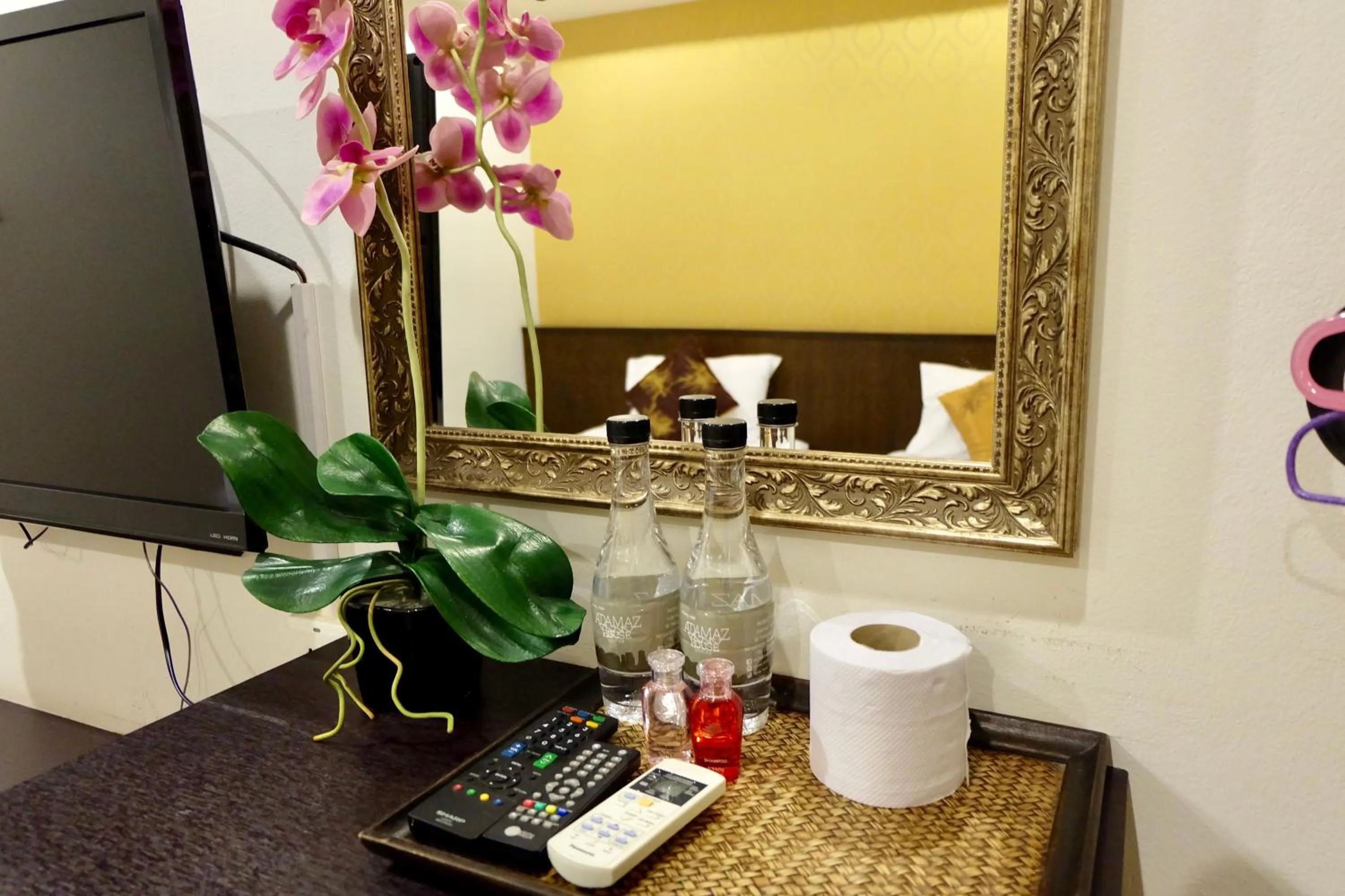 Photo of the whole room in Adamaz House