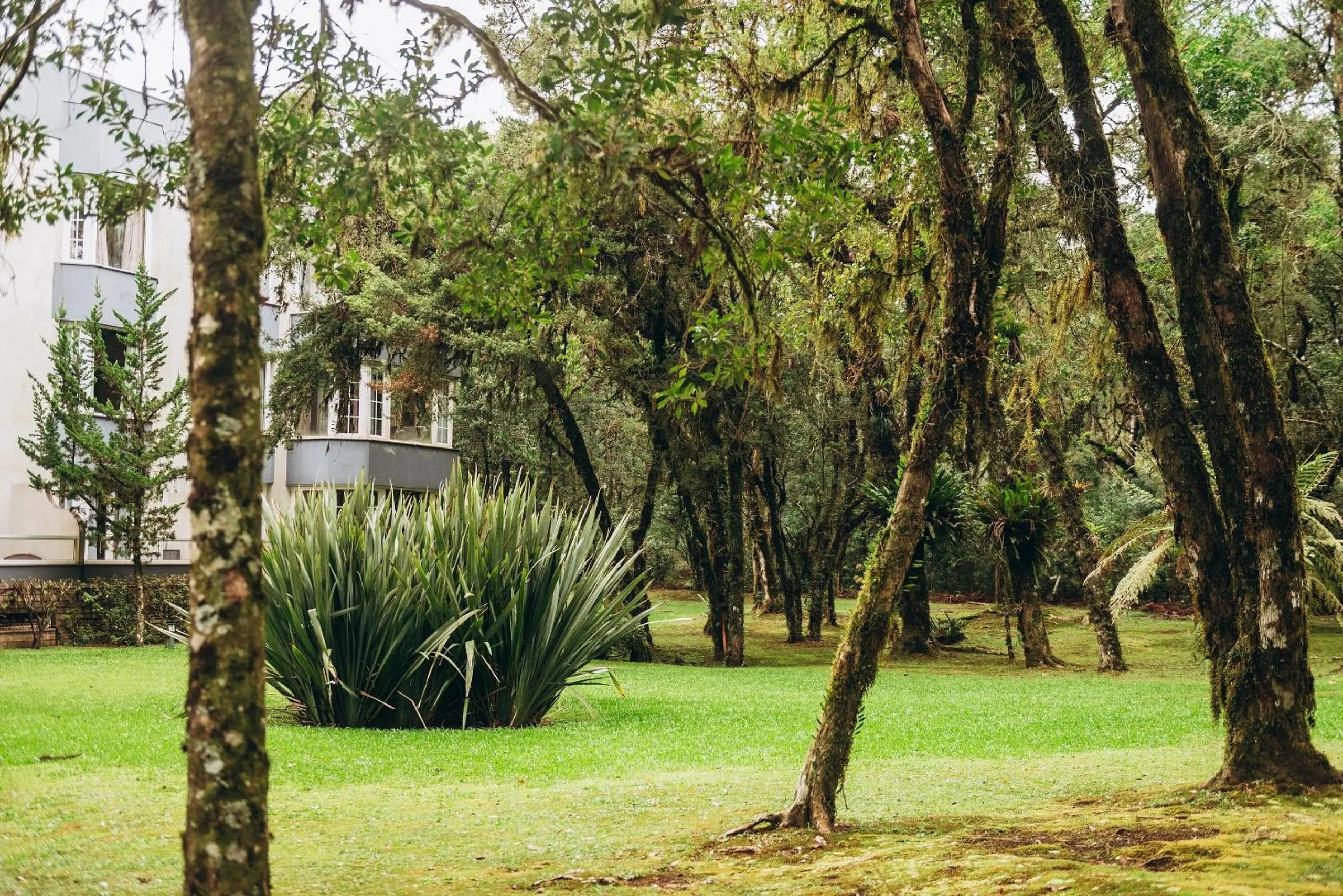 Garden view in Suíte Laje de Pedra Mountain Village