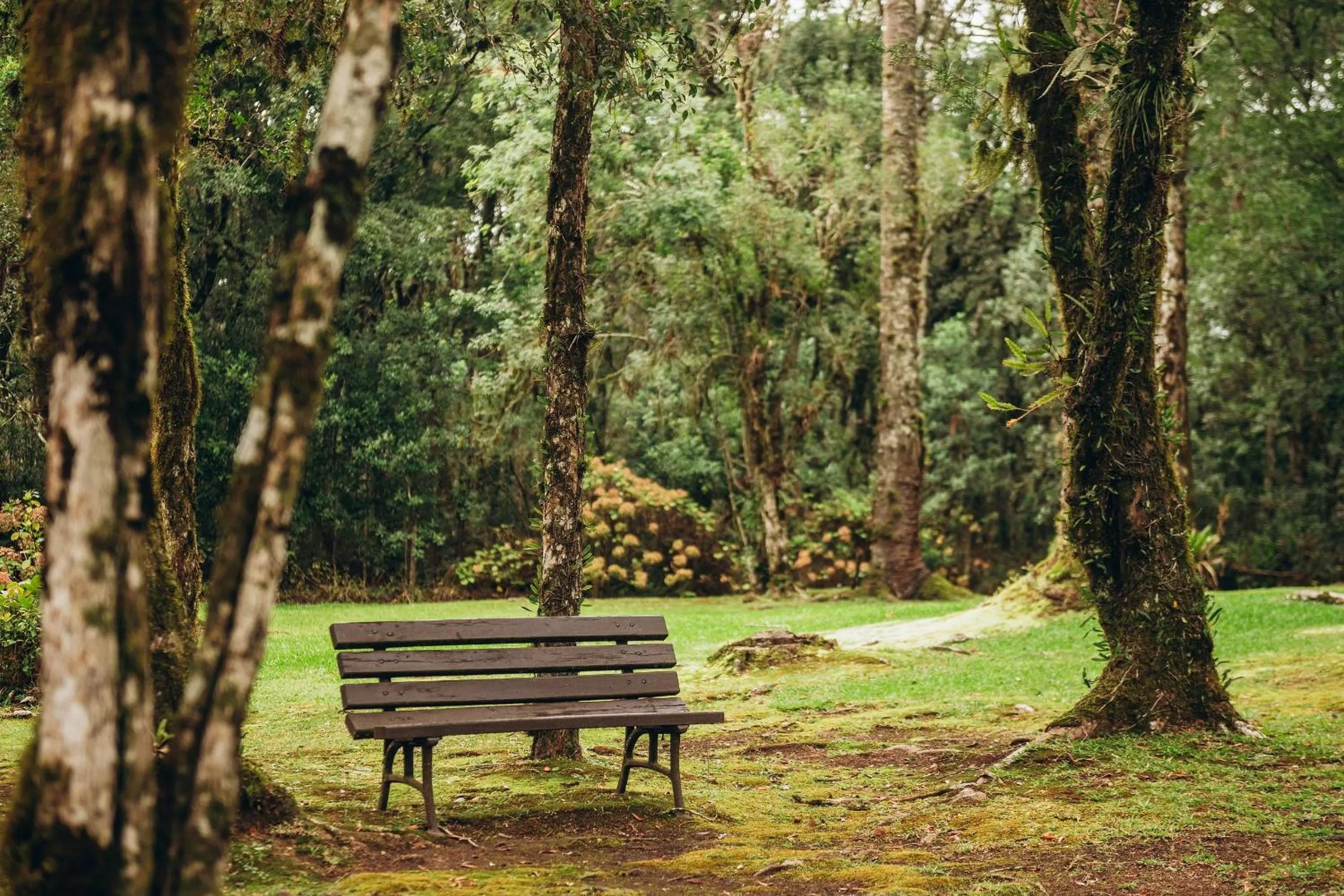 Garden view in Suíte Laje de Pedra Mountain Village
