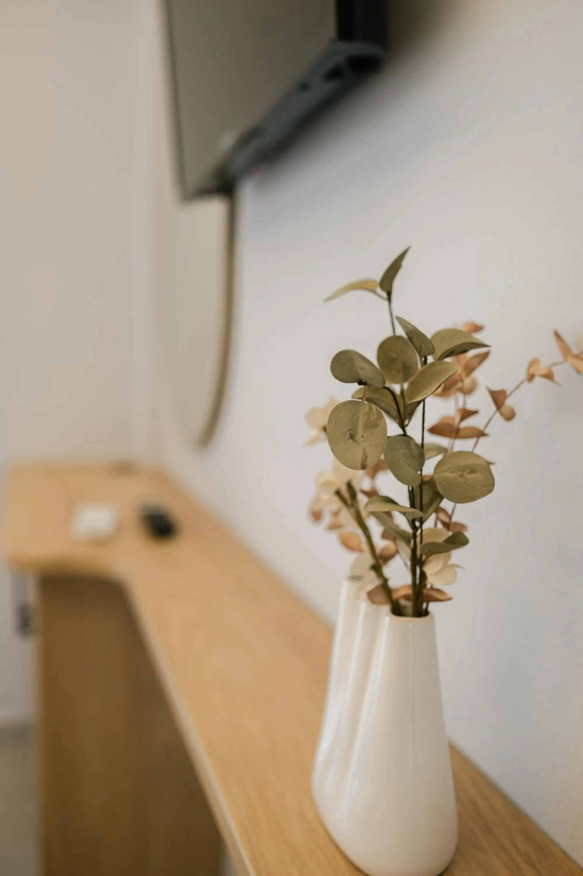 TV and multimedia in Oktolia suites