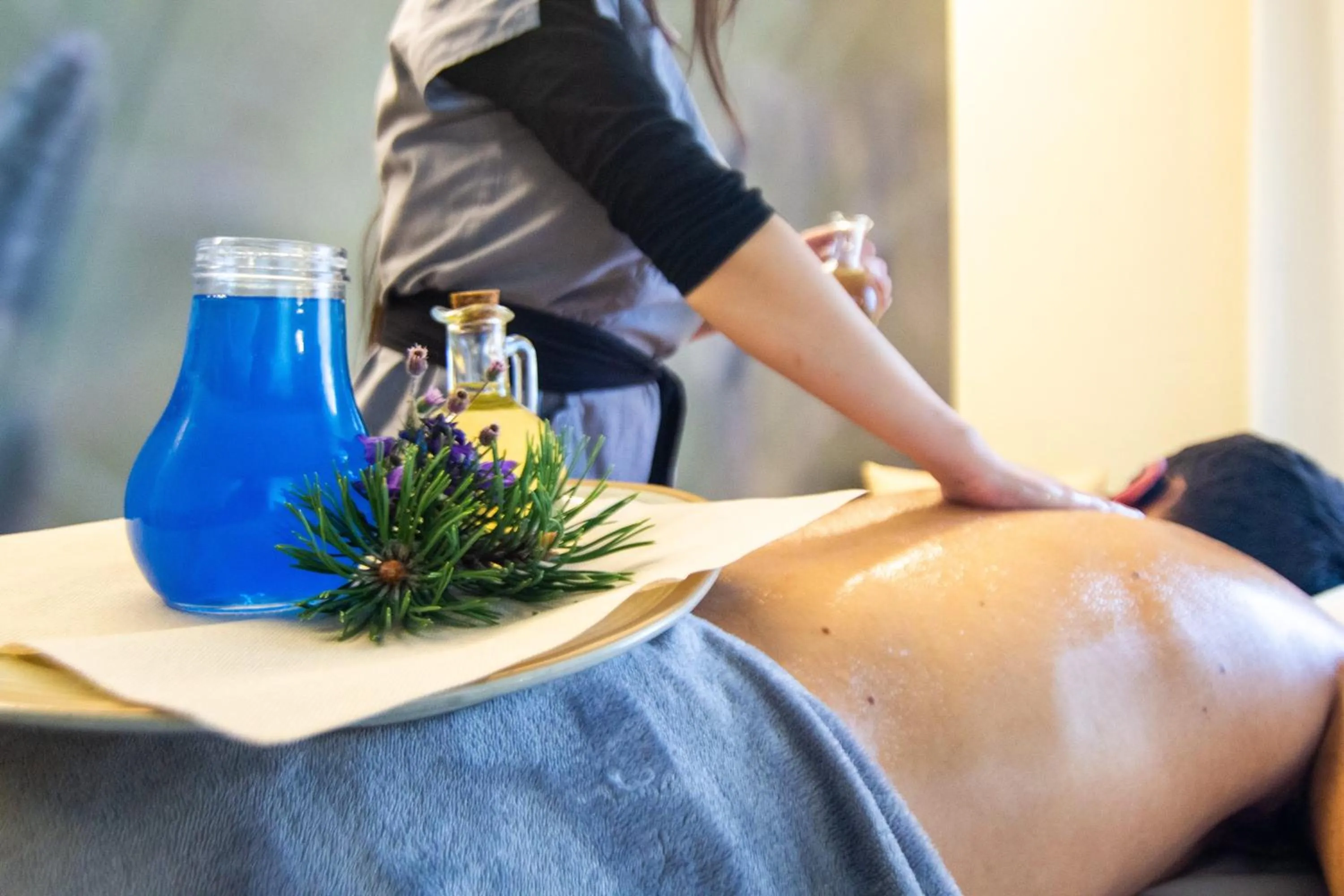 Massage in Hotel Vall de Núria