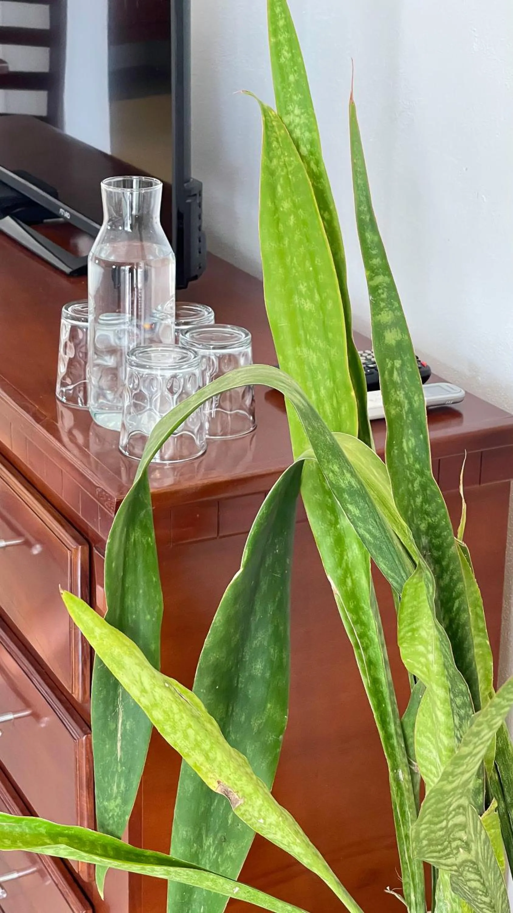 TV and multimedia in Quinta Alberto Boutique Hotel