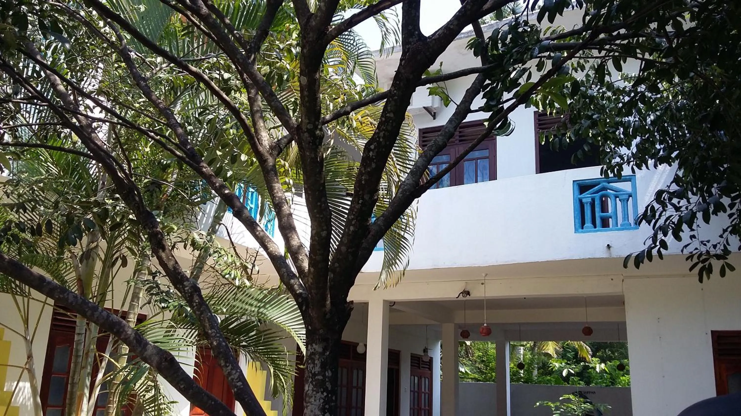 Garden view in Calidan