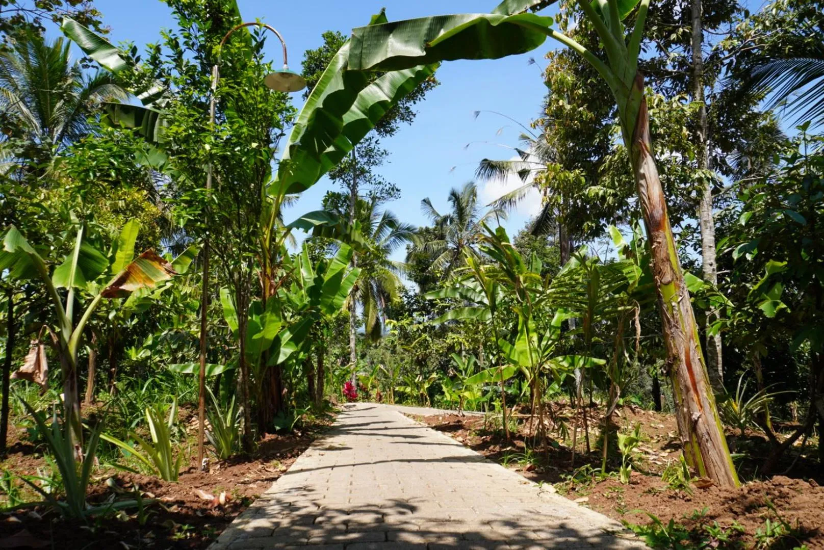 Facade/entrance in Purwa Ijen