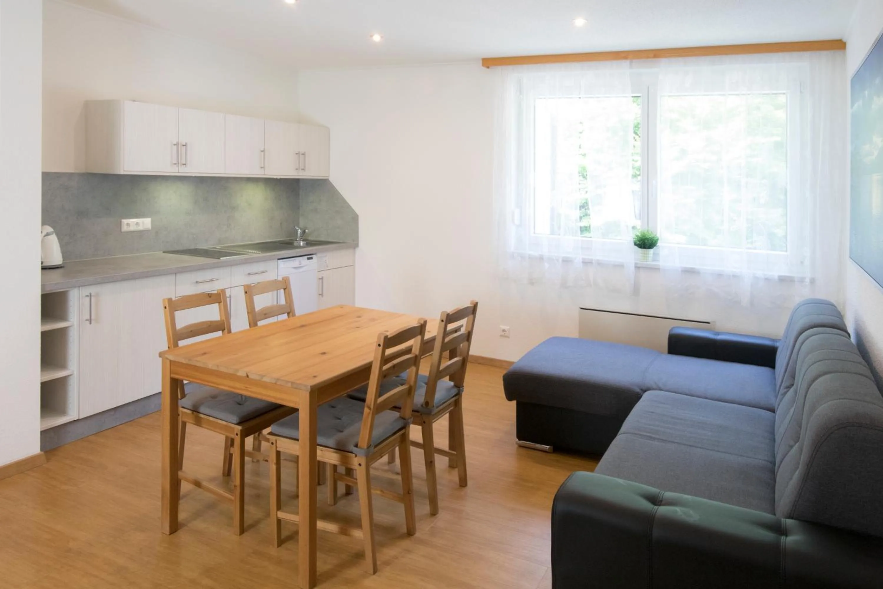 Kitchen or kitchenette in Ferienwohnungen Gabriel