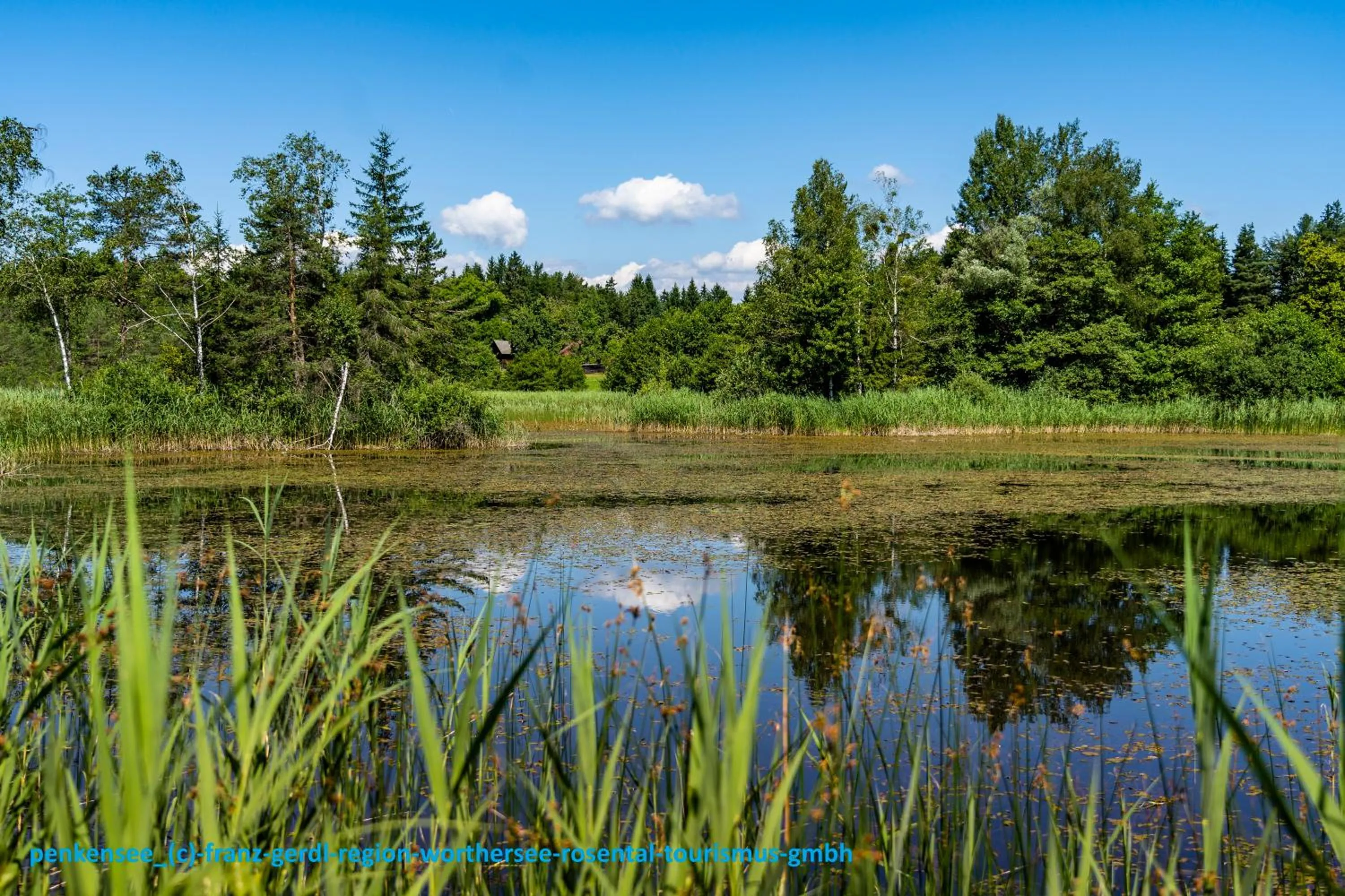 Natural landscape in Ferienwohnungen Gabriel