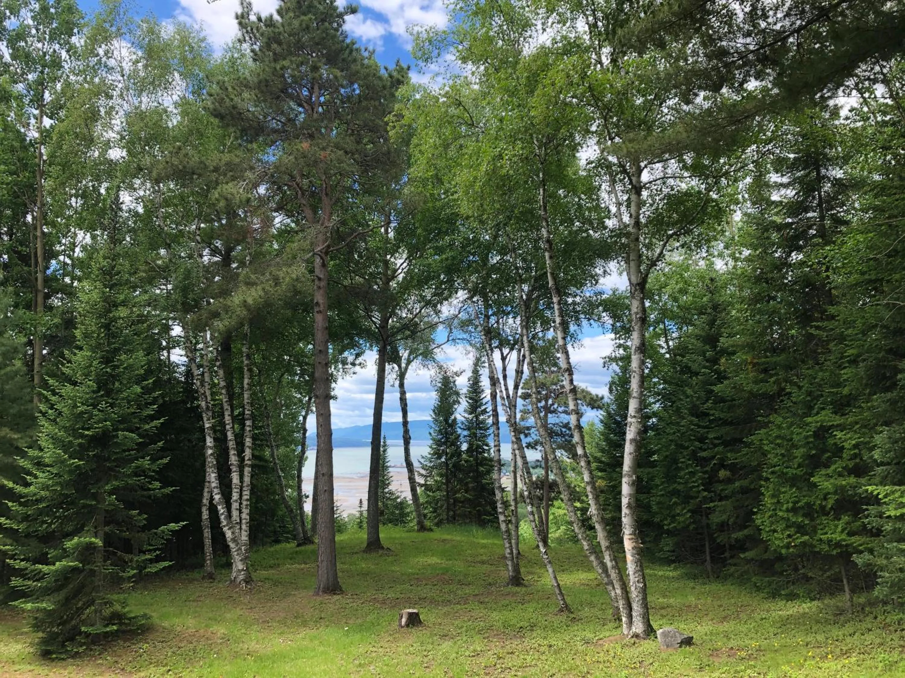 Day in Chalet Sous Les Pins