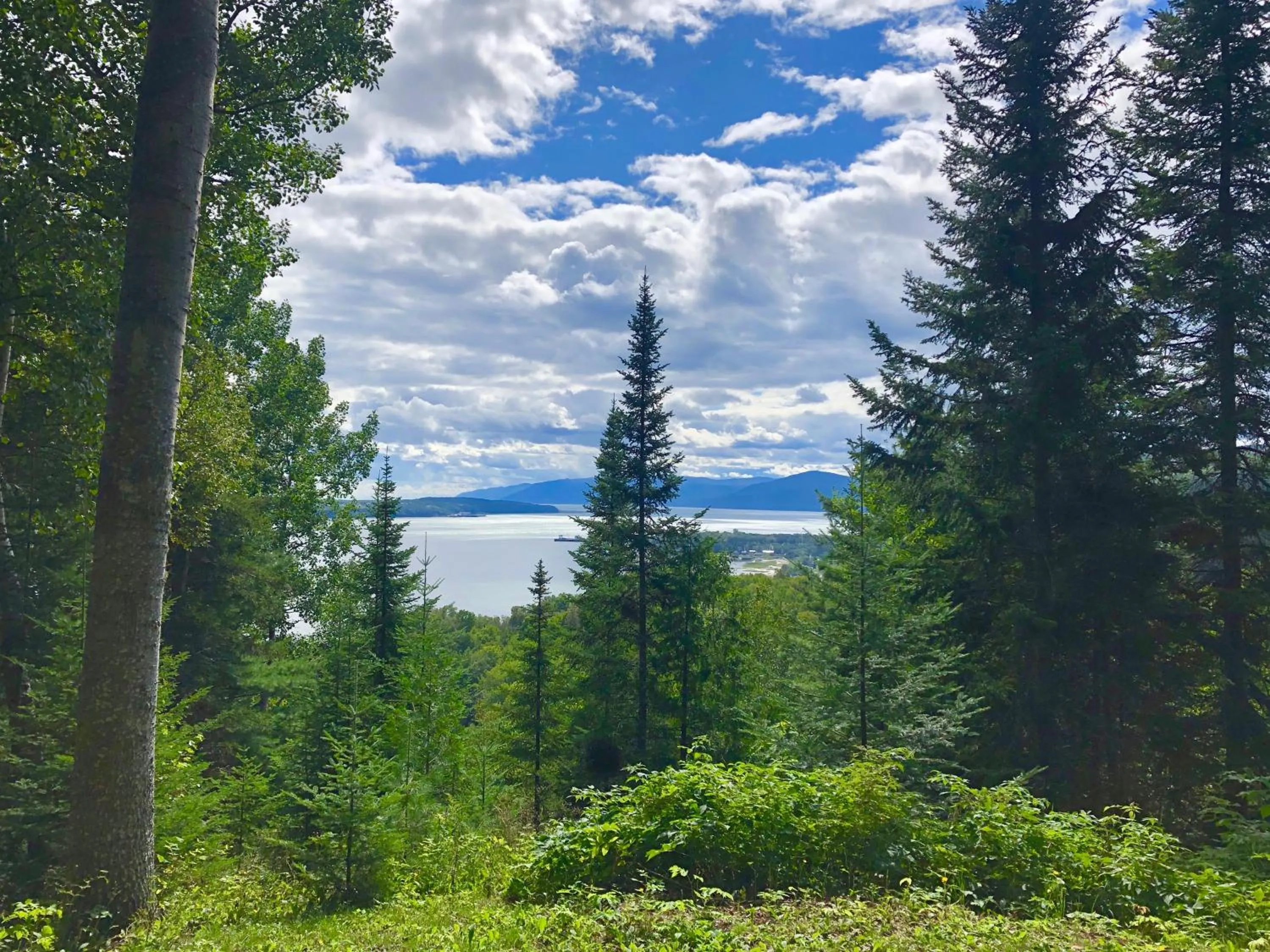 Mountain view in Chalet Sous Les Pins